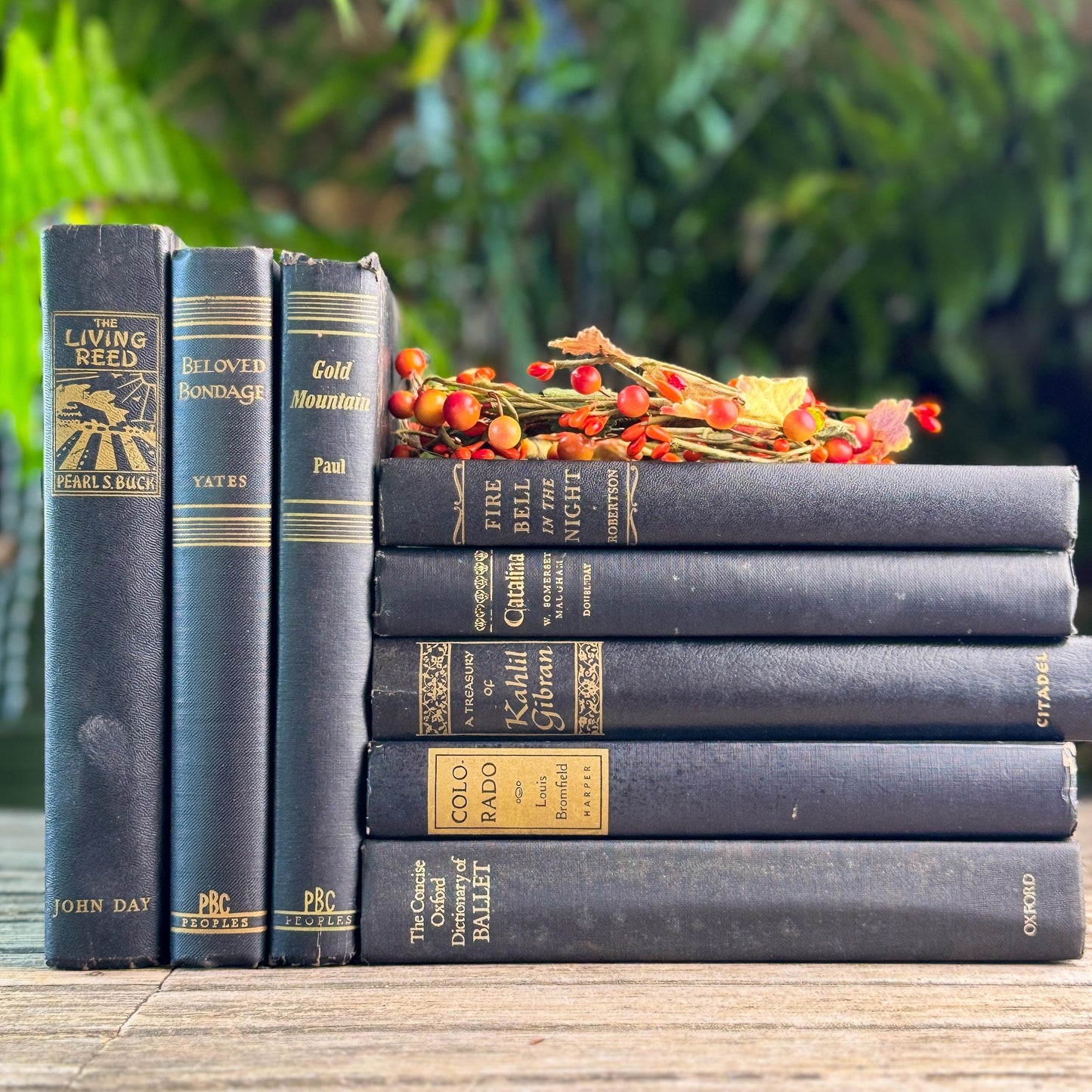 Vintage Black and Gold Book Set For Clean Minimalist Shelf Styling