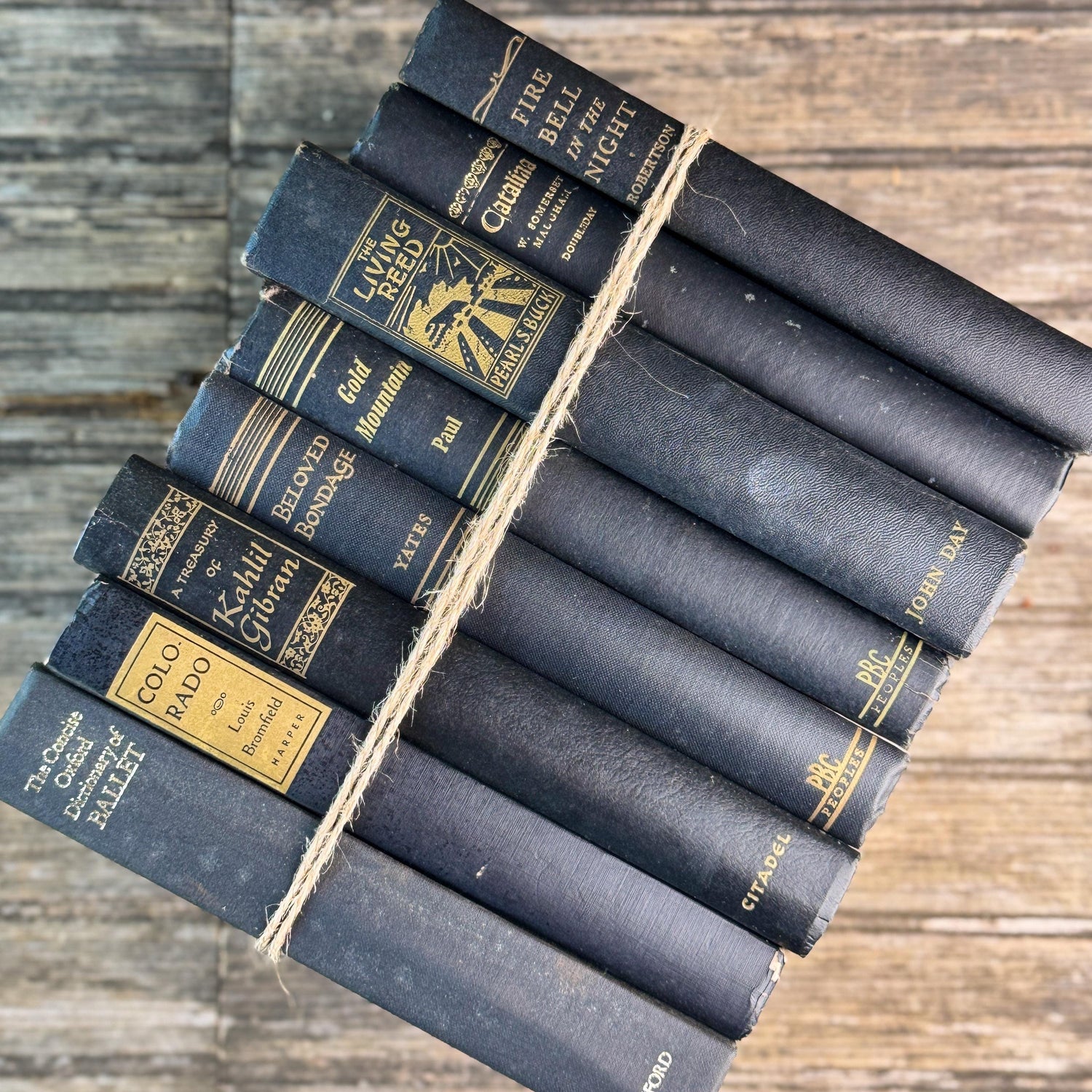 Vintage Black and Gold Book Set For Clean Minimalist Shelf Styling