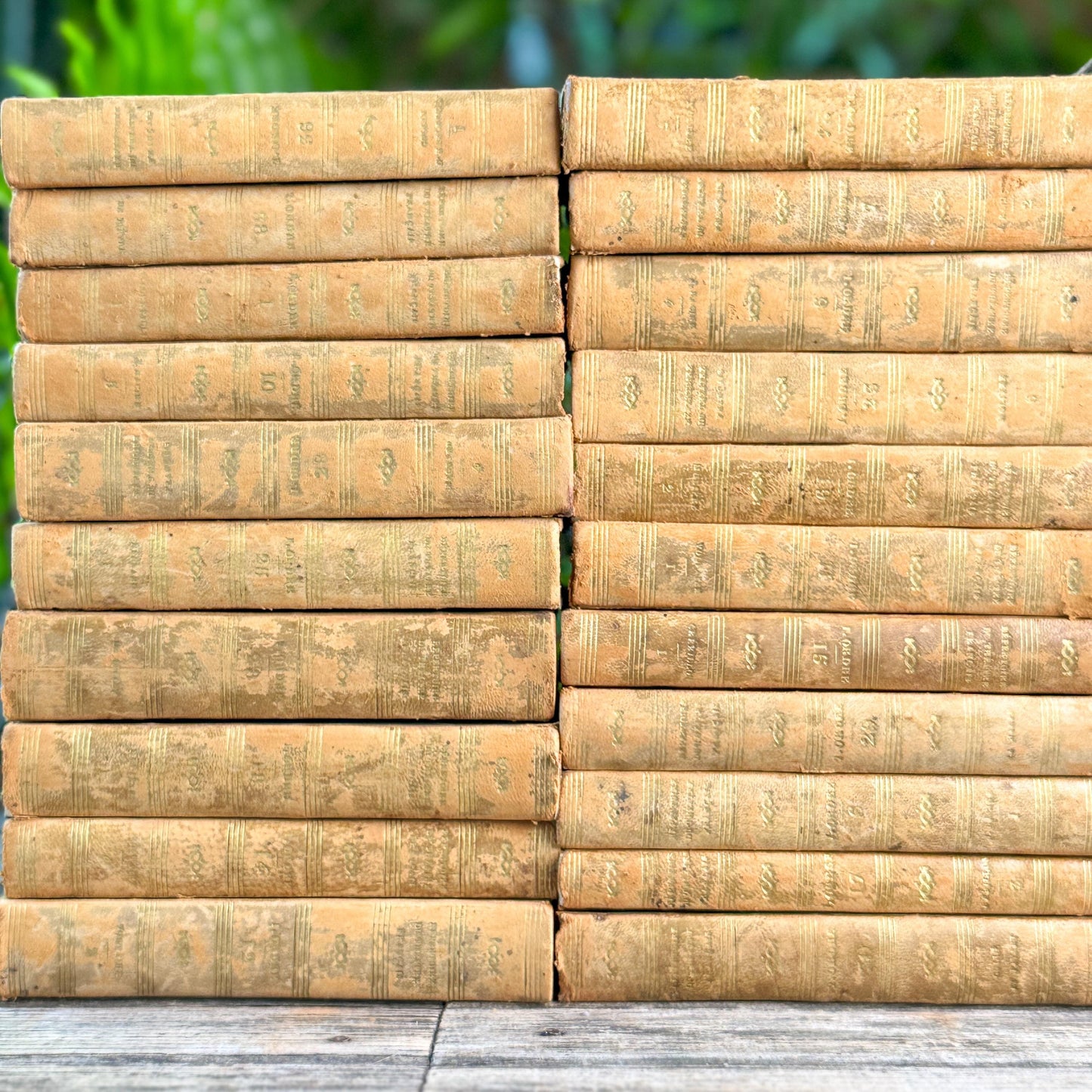 Antique Honey Gold French Theater Book Collection, 1824, Répertoire du Théâtre Français, Leather & Marbled Boards, 32 Volumes