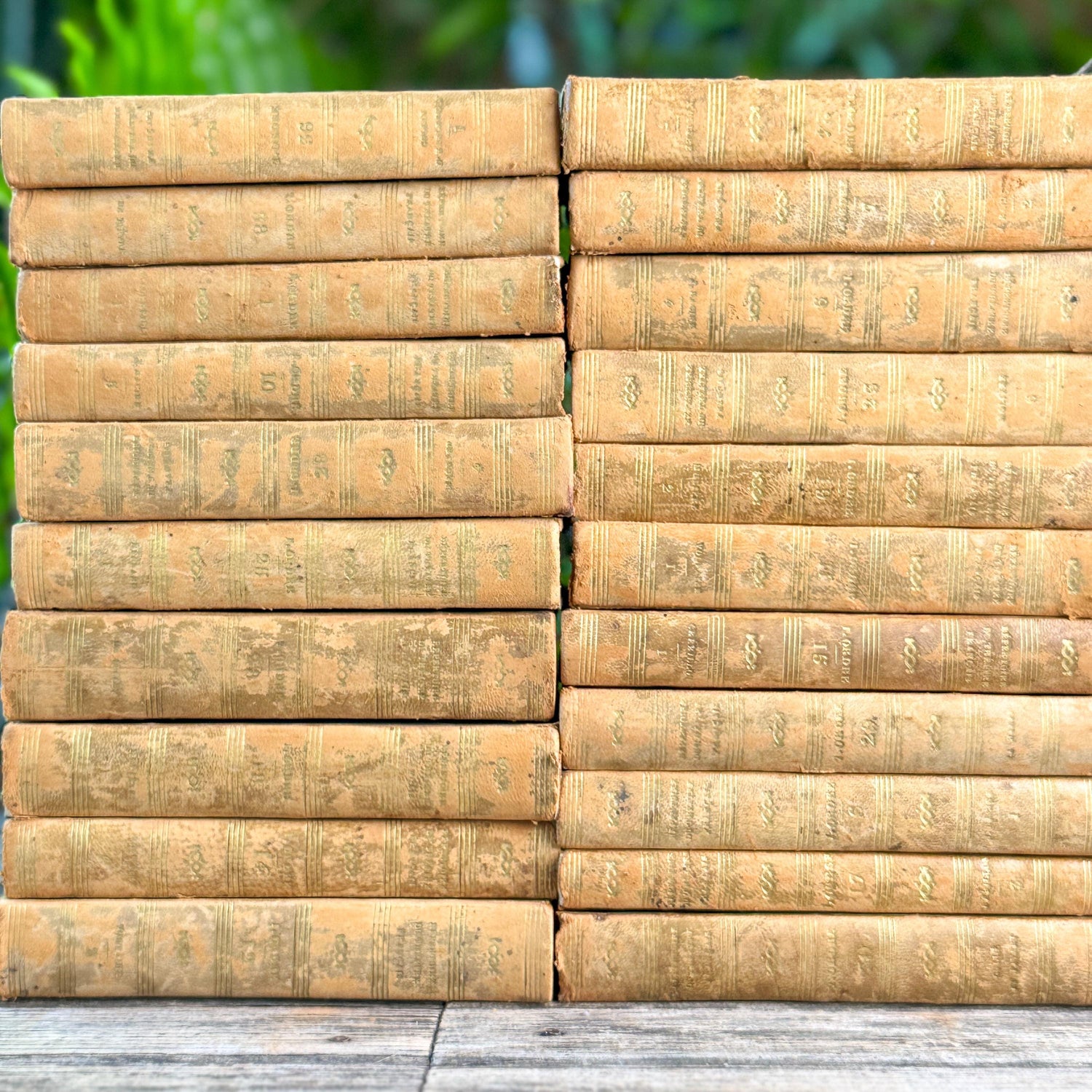 Antique Honey Gold French Theater Book Collection, 1824, Répertoire du Théâtre Français, Leather & Marbled Boards, 32 Volumes