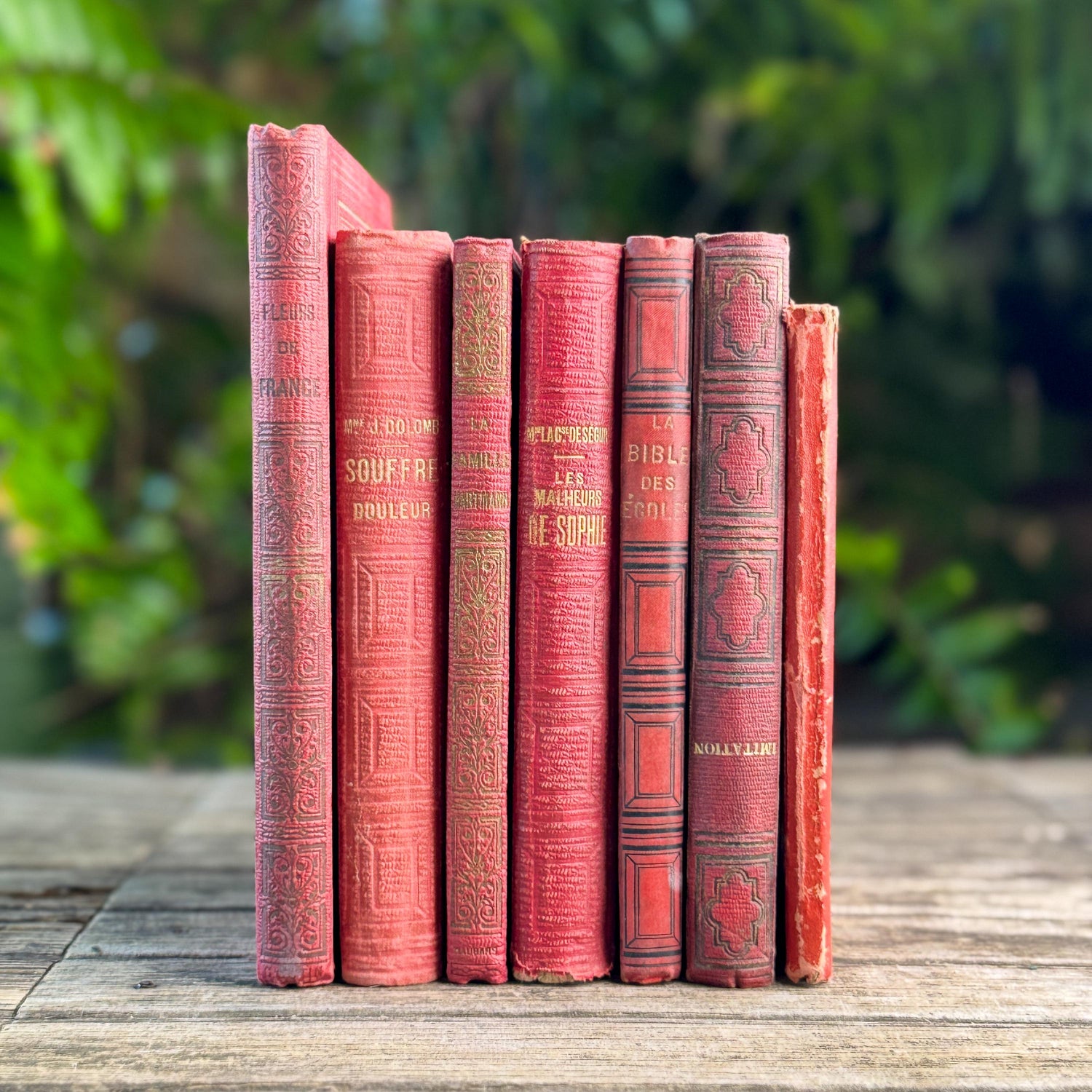Antique French Red Book Set, 1861-1890, Les Malheurs de Sophie, Bibliothèque Rose & Prize Books, Cartonnage