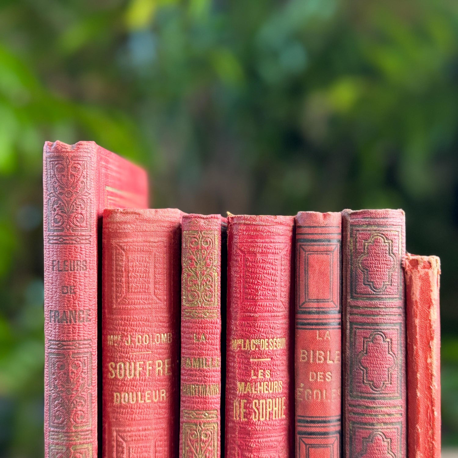 Antique French Red Book Set, 1861-1890, Les Malheurs de Sophie, Bibliothèque Rose & Prize Books, Cartonnage