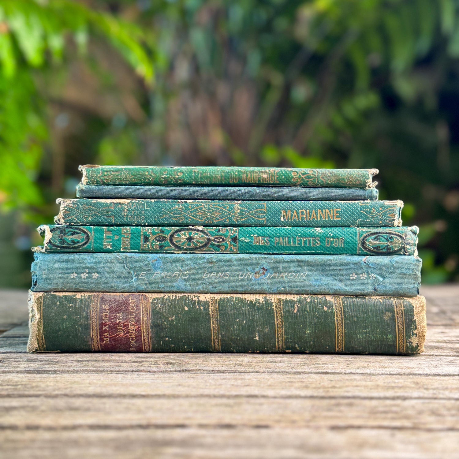 Shabby Antique French Green Book Set, 1822-1874, Seine Map