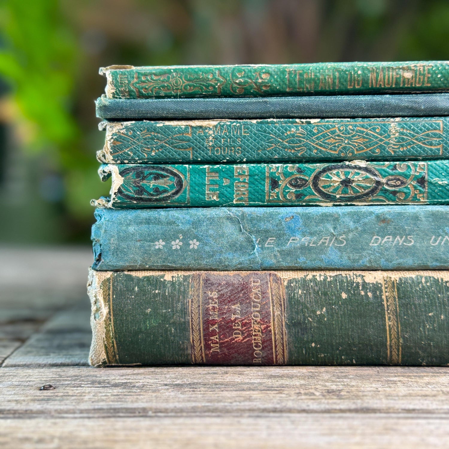 Shabby Antique French Green Book Set, 1822-1874, Seine Map