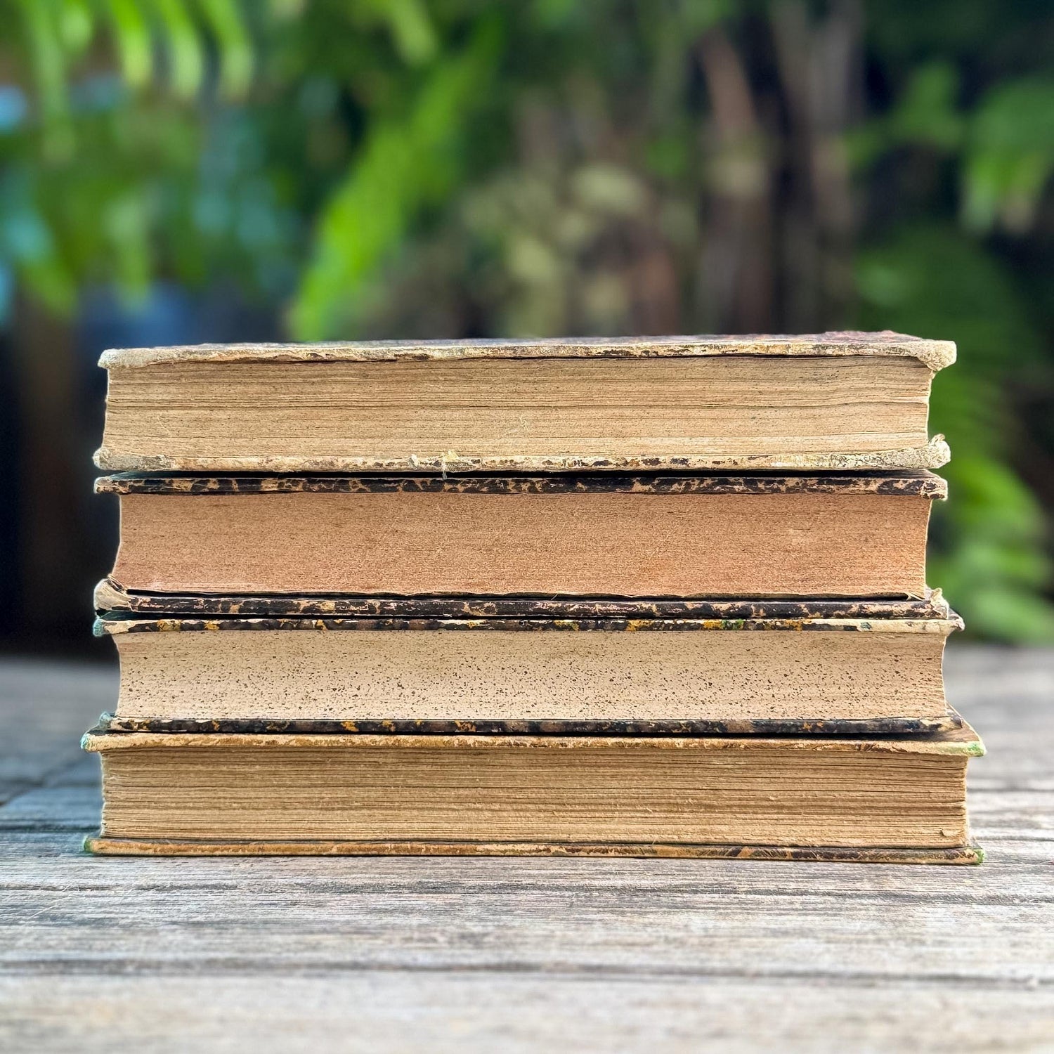 Antique French Half Leather Book Set in Brown and Oxblood with Marbled Boards
