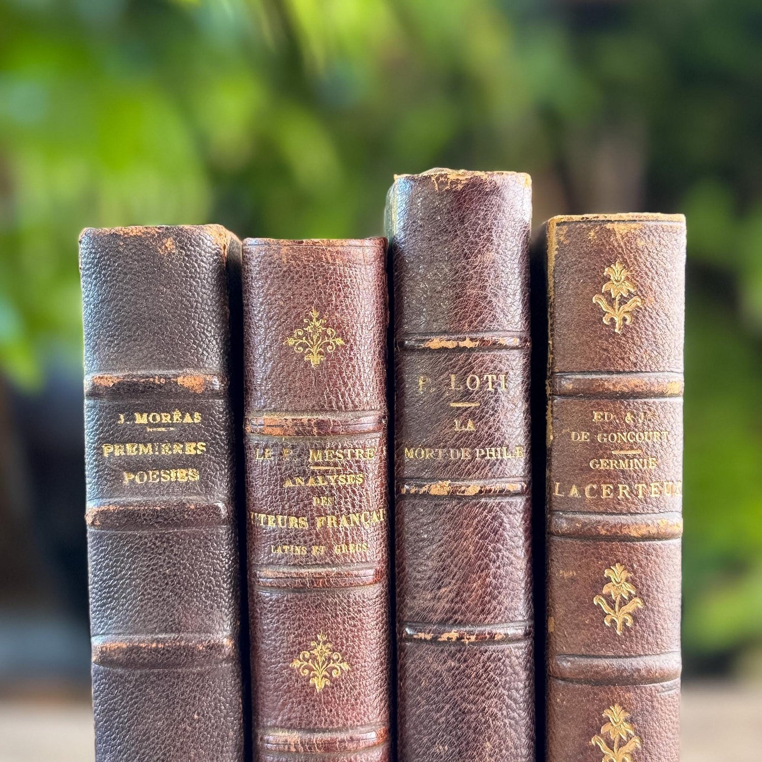 Antique French Half Leather Book Set in Brown and Oxblood with Marbled Boards