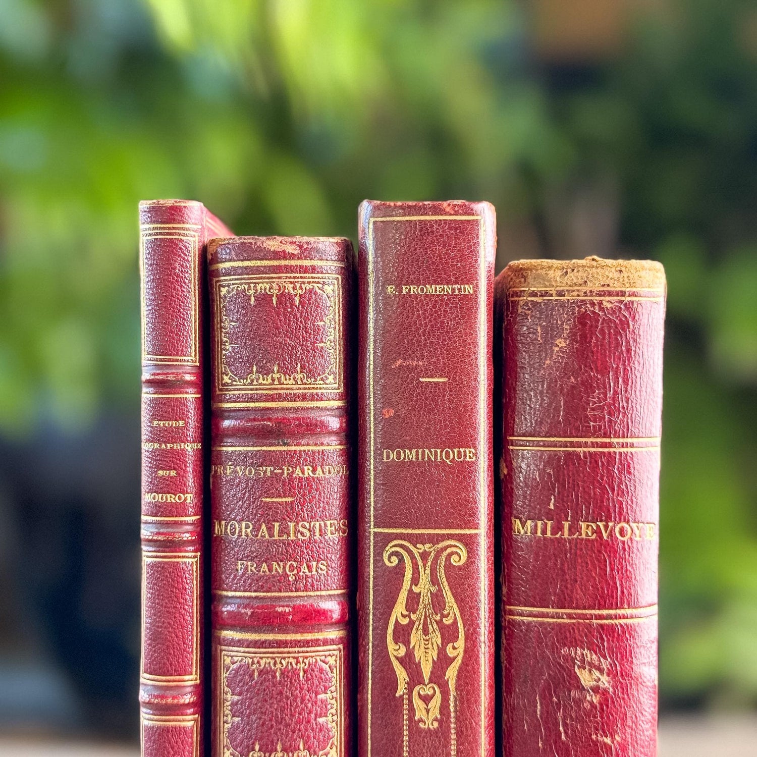 Antique French Red Leather Book Set from 1800s