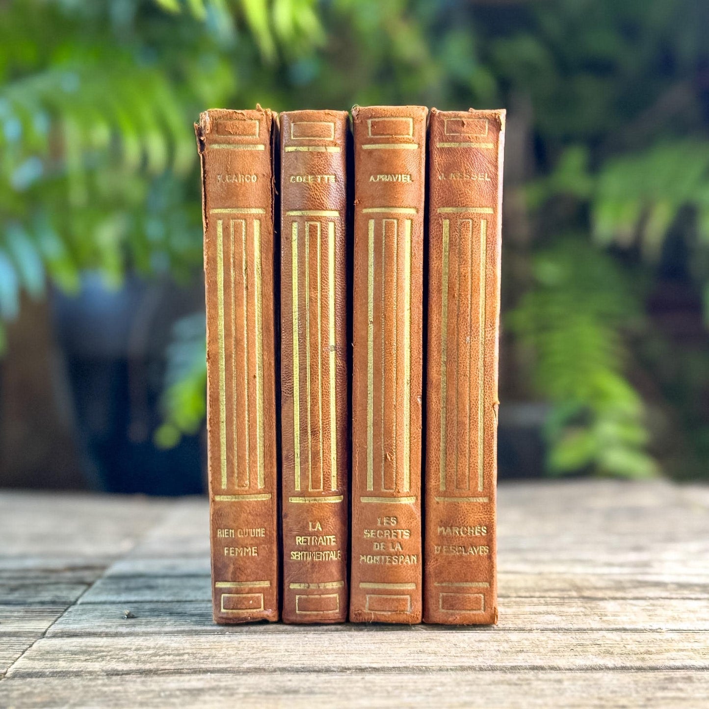 Vintage French Leather Book Set in Cognac Brown with Art Deco Gilt Spines