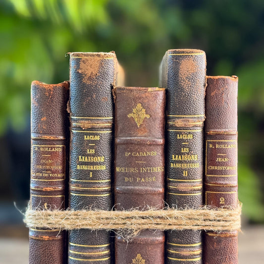 Shabby Old Dark Brown Leather French Antique Book Set