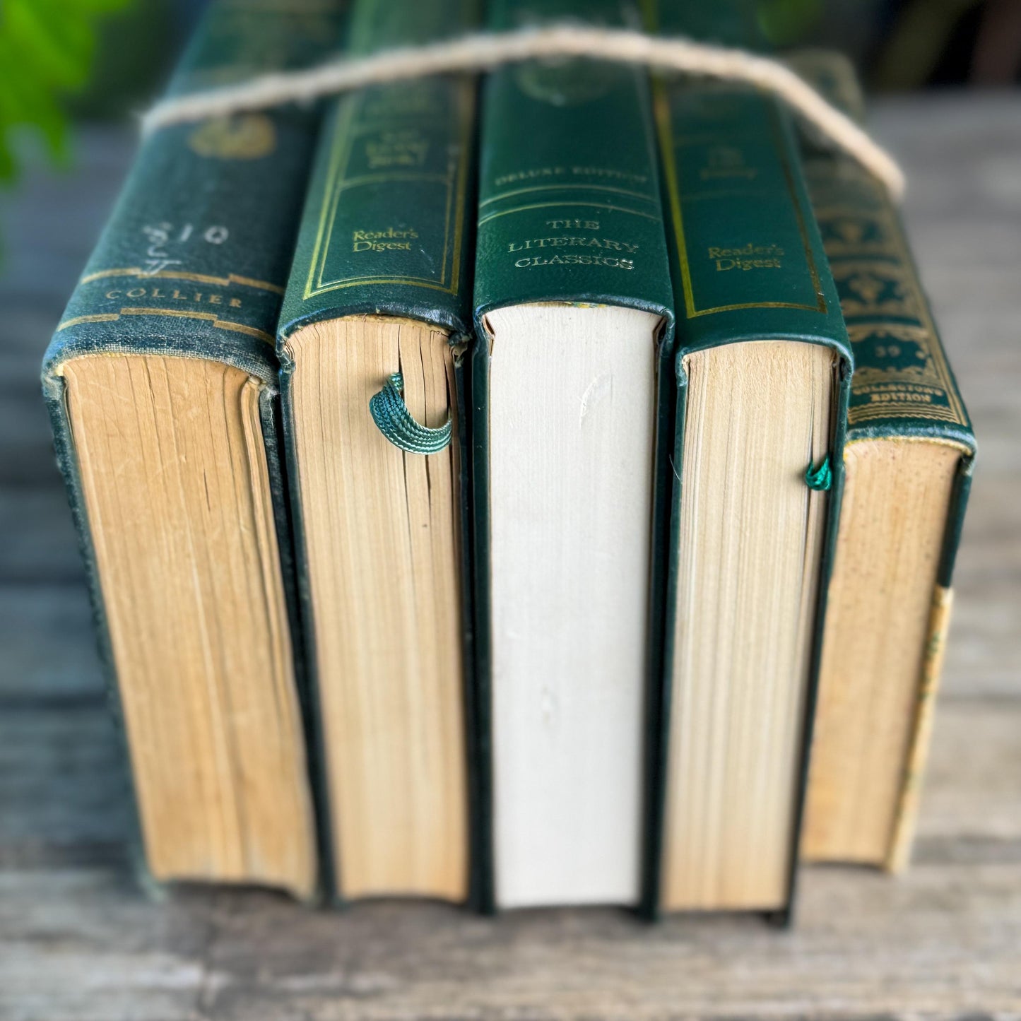 Dark Green & Gold Vintage Book Set for Academic Decor