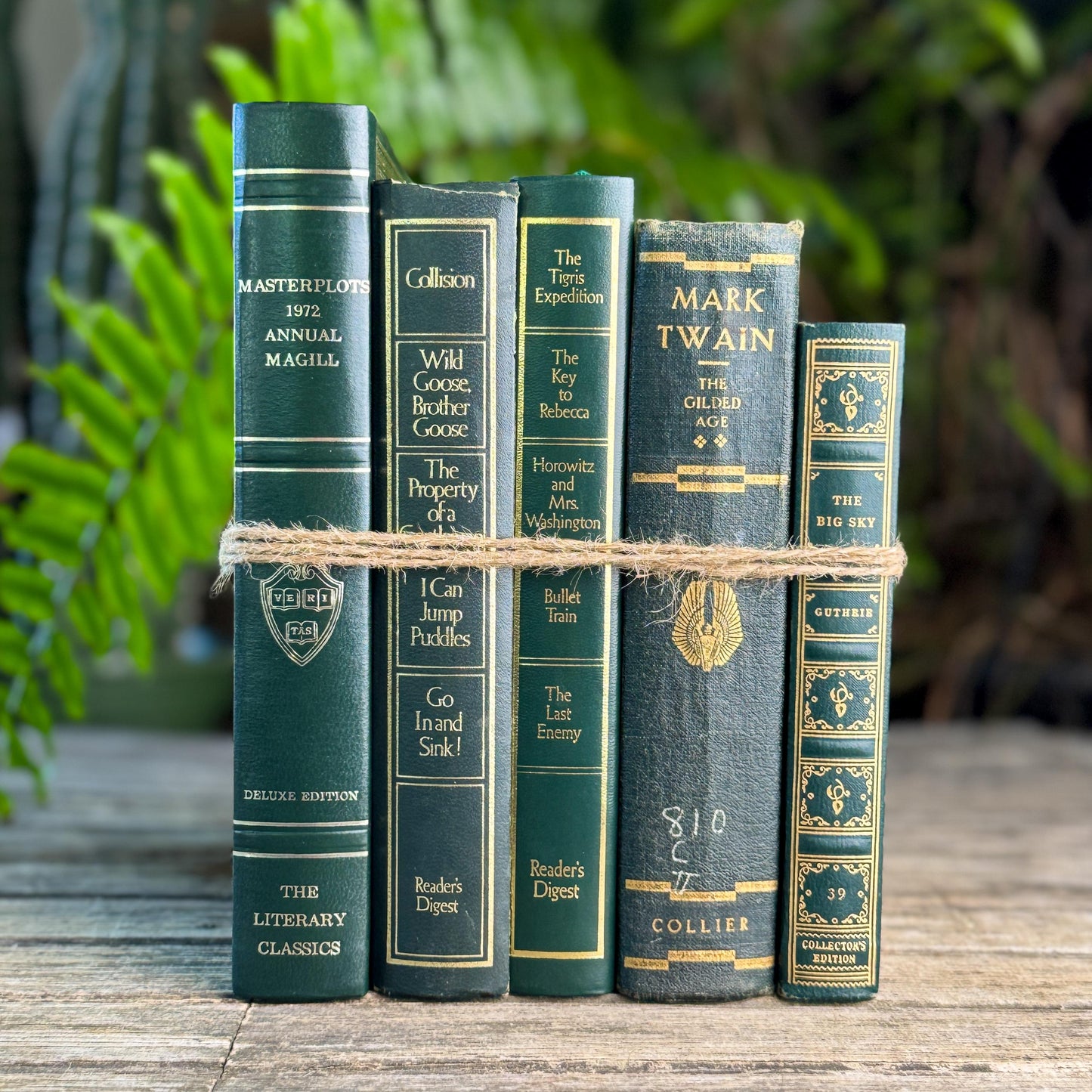 Dark Green & Gold Vintage Book Set for Academic Decor