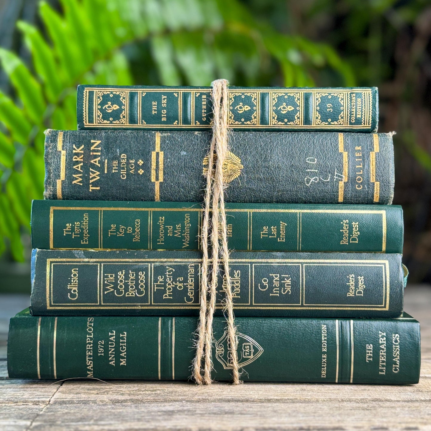 Dark Green & Gold Vintage Book Set for Academic Decor