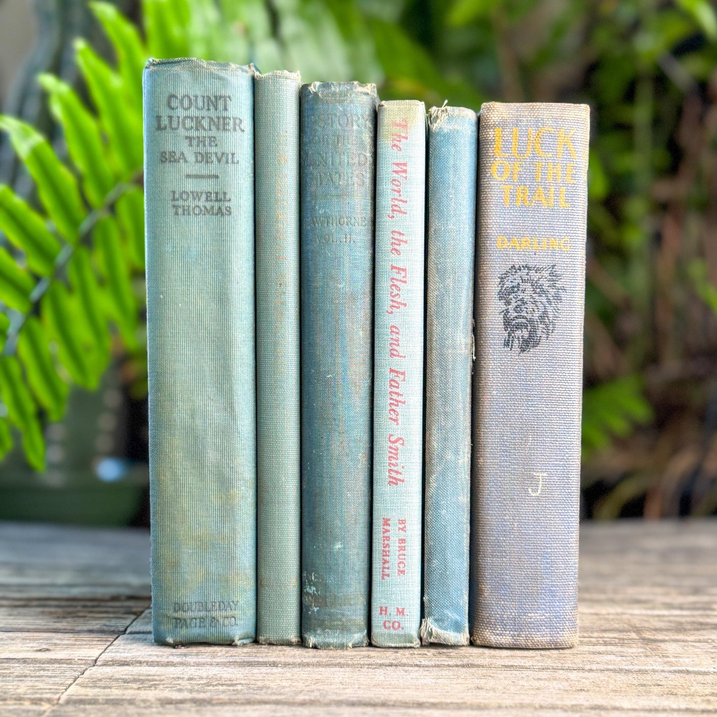 Shabby Old Blue Books for Cozy Shelf Styling