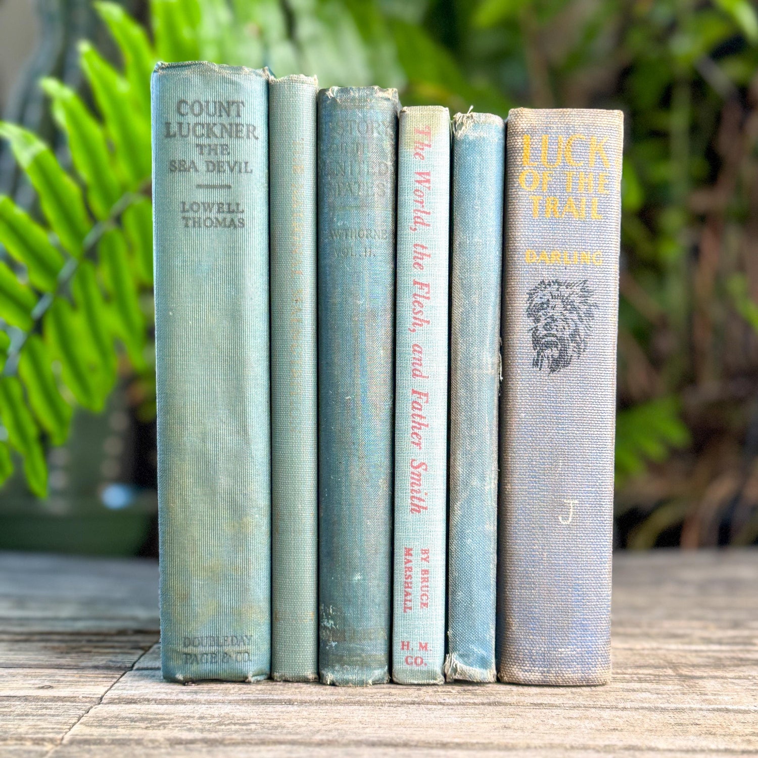 Shabby Old Blue Books for Cozy Shelf Styling