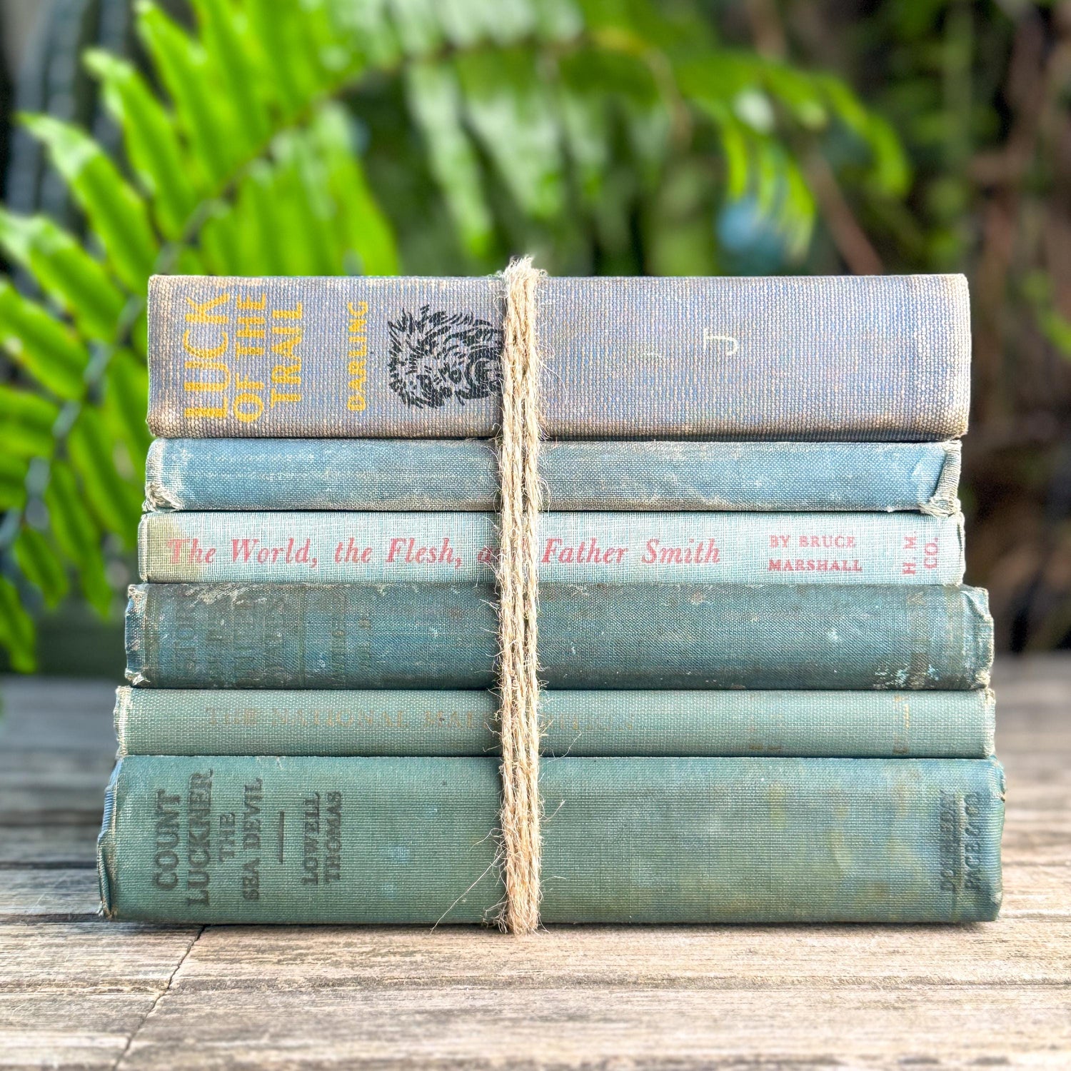 Shabby Old Blue Books for Cozy Shelf Styling