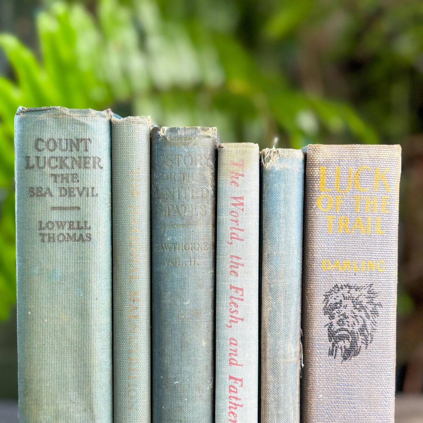 Shabby Old Blue Books for Cozy Shelf Styling