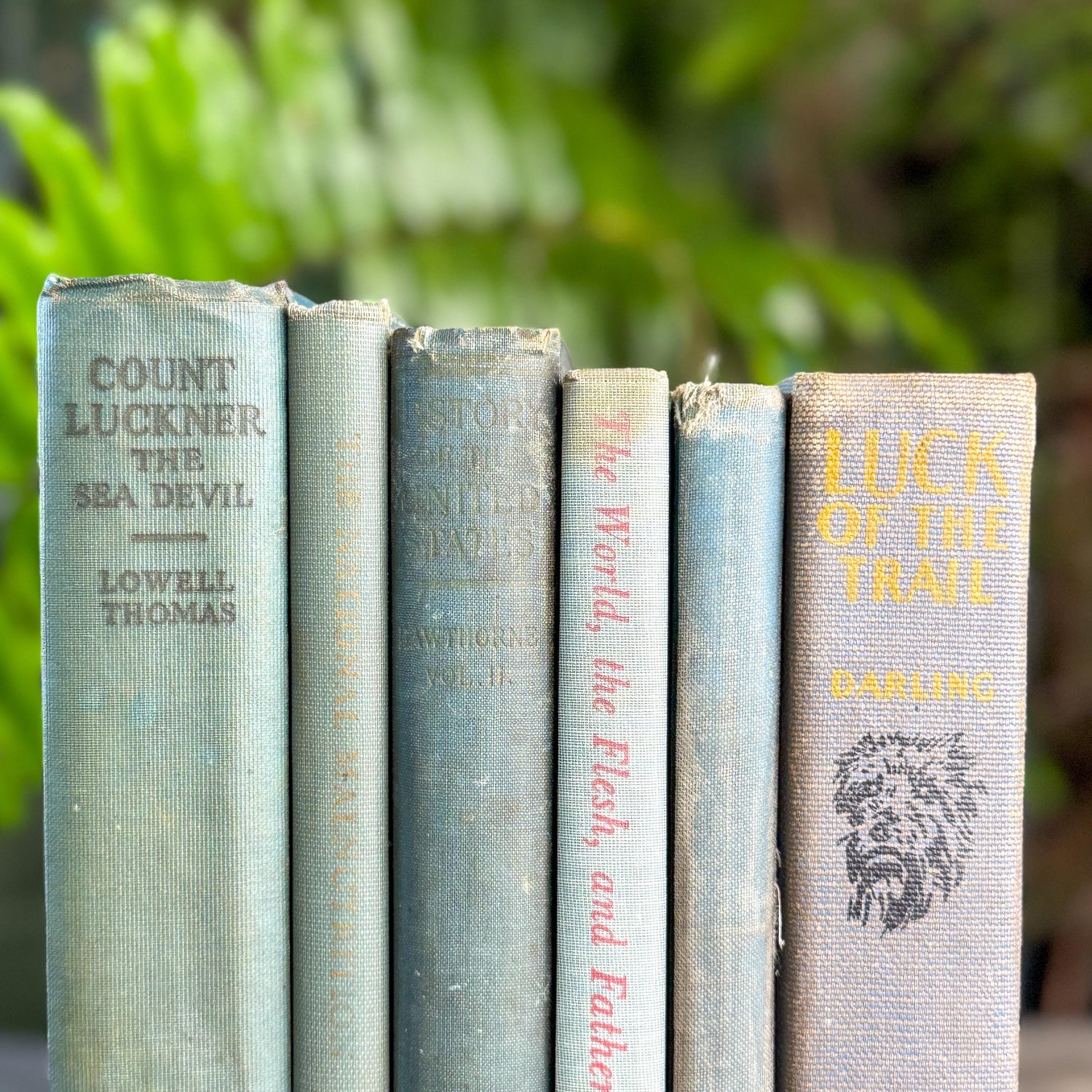 Shabby Old Blue Books for Cozy Shelf Styling