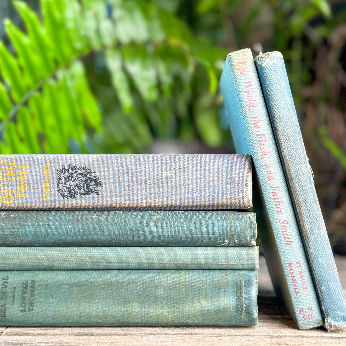Shabby Old Blue Books for Cozy Shelf Styling