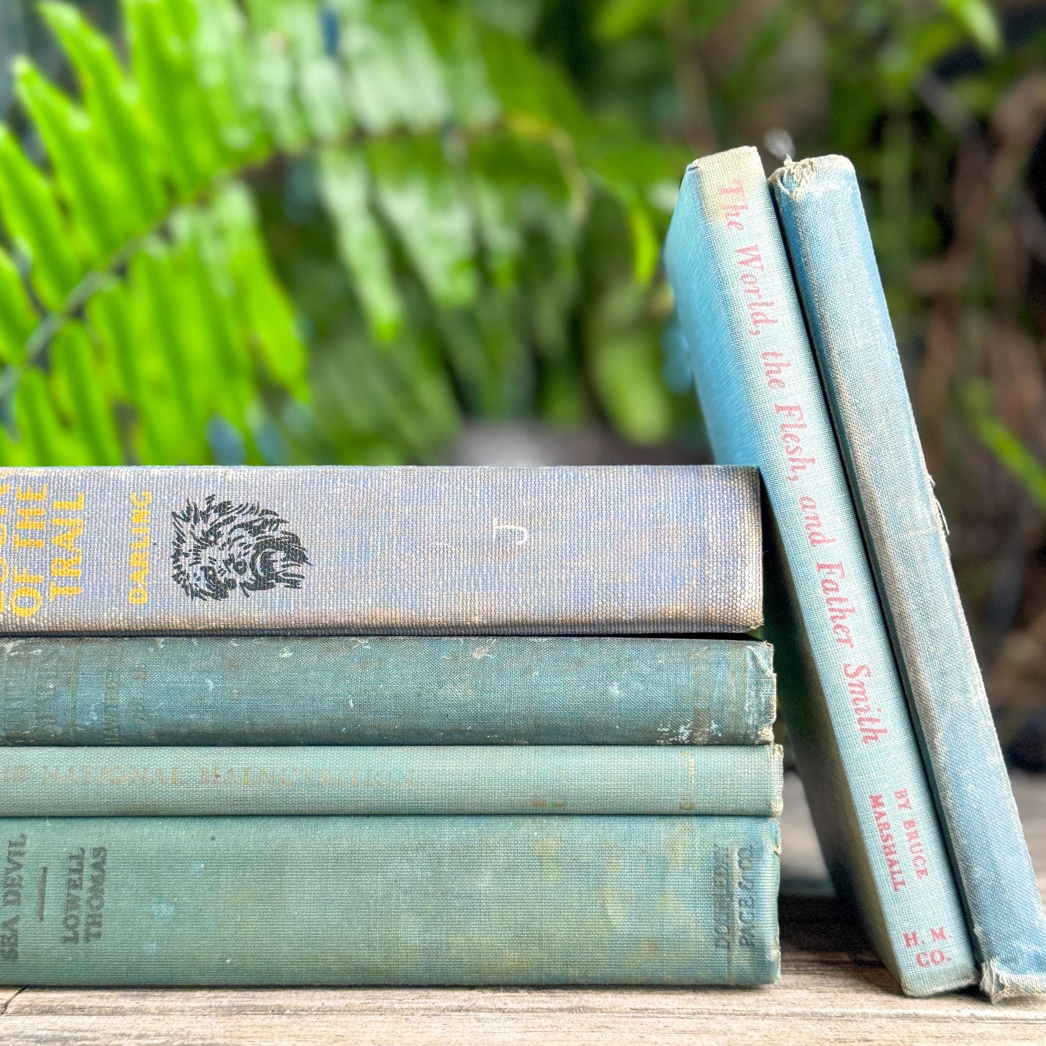 Shabby Old Blue Books for Cozy Shelf Styling