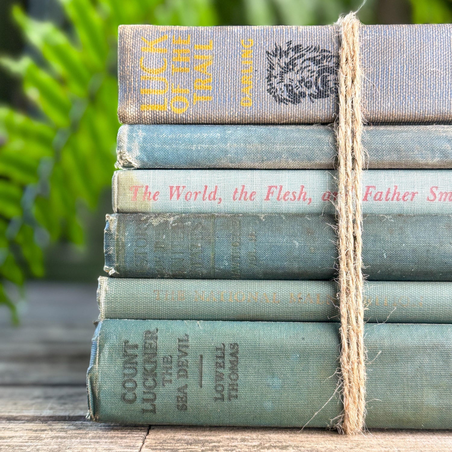 Shabby Old Blue Books for Cozy Shelf Styling