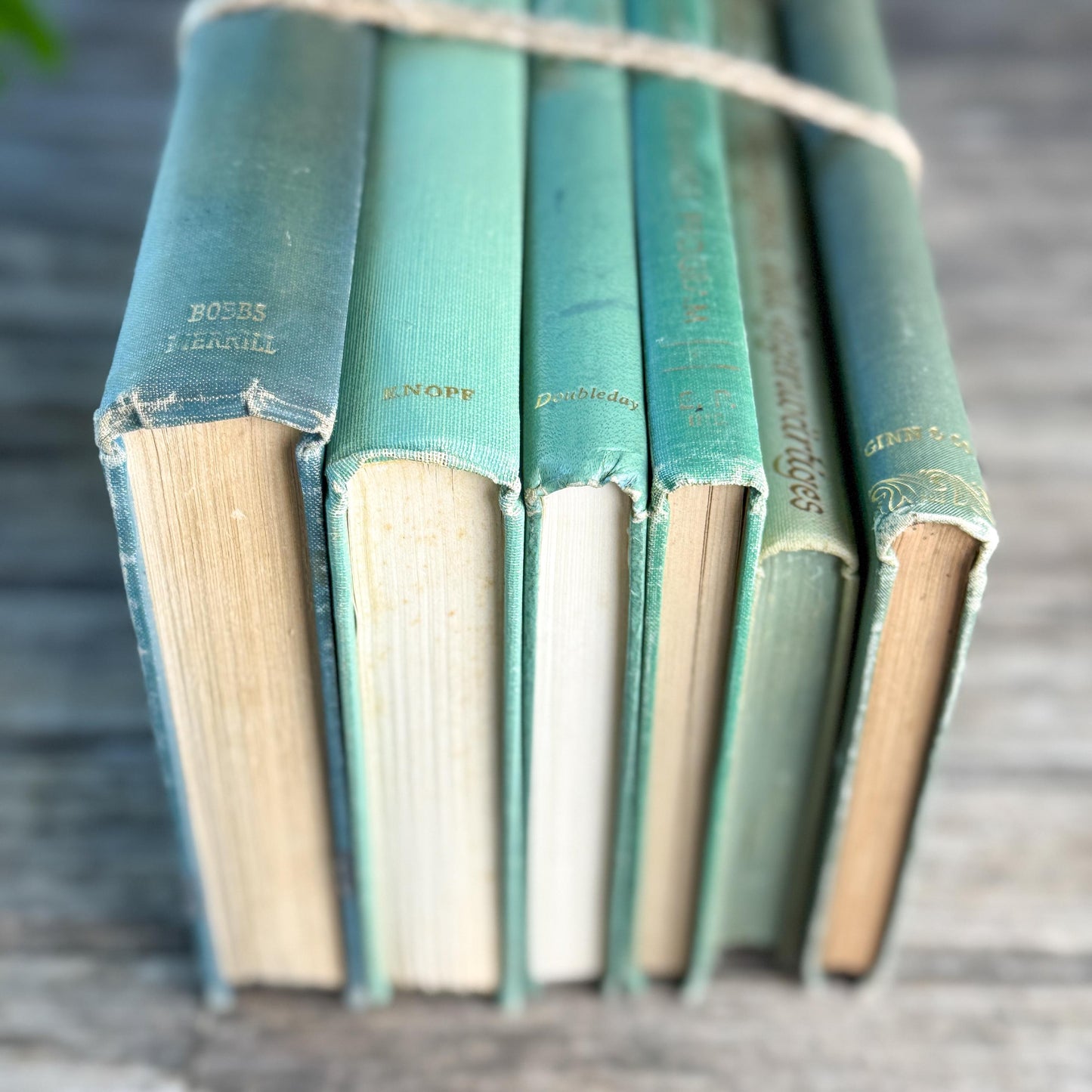 Sea Green, Mint, and Moss Feminine Book Collection