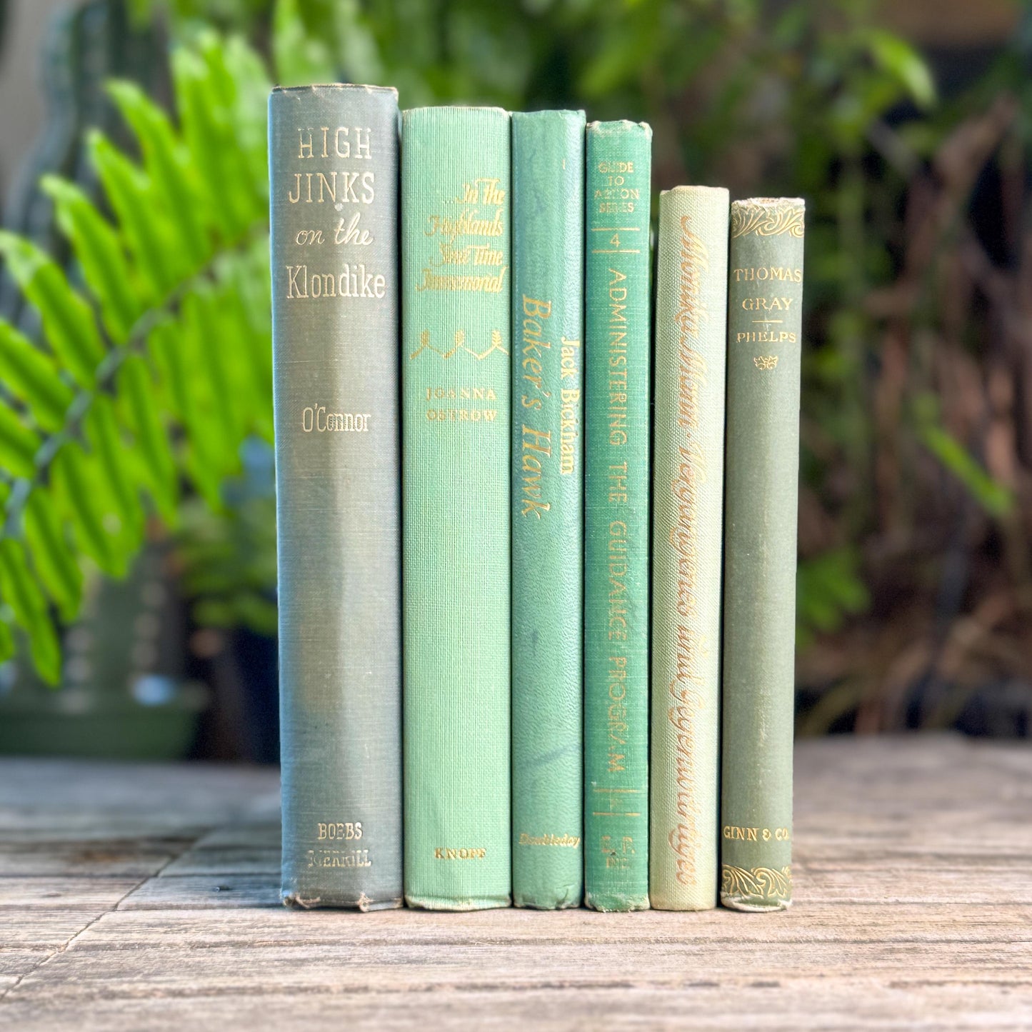 Sea Green, Mint, and Moss Feminine Book Collection