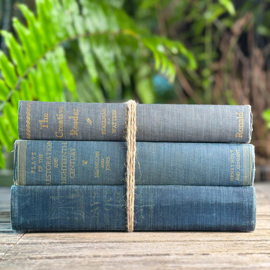 Blue Denim Vintage Oversized Reference Book Set