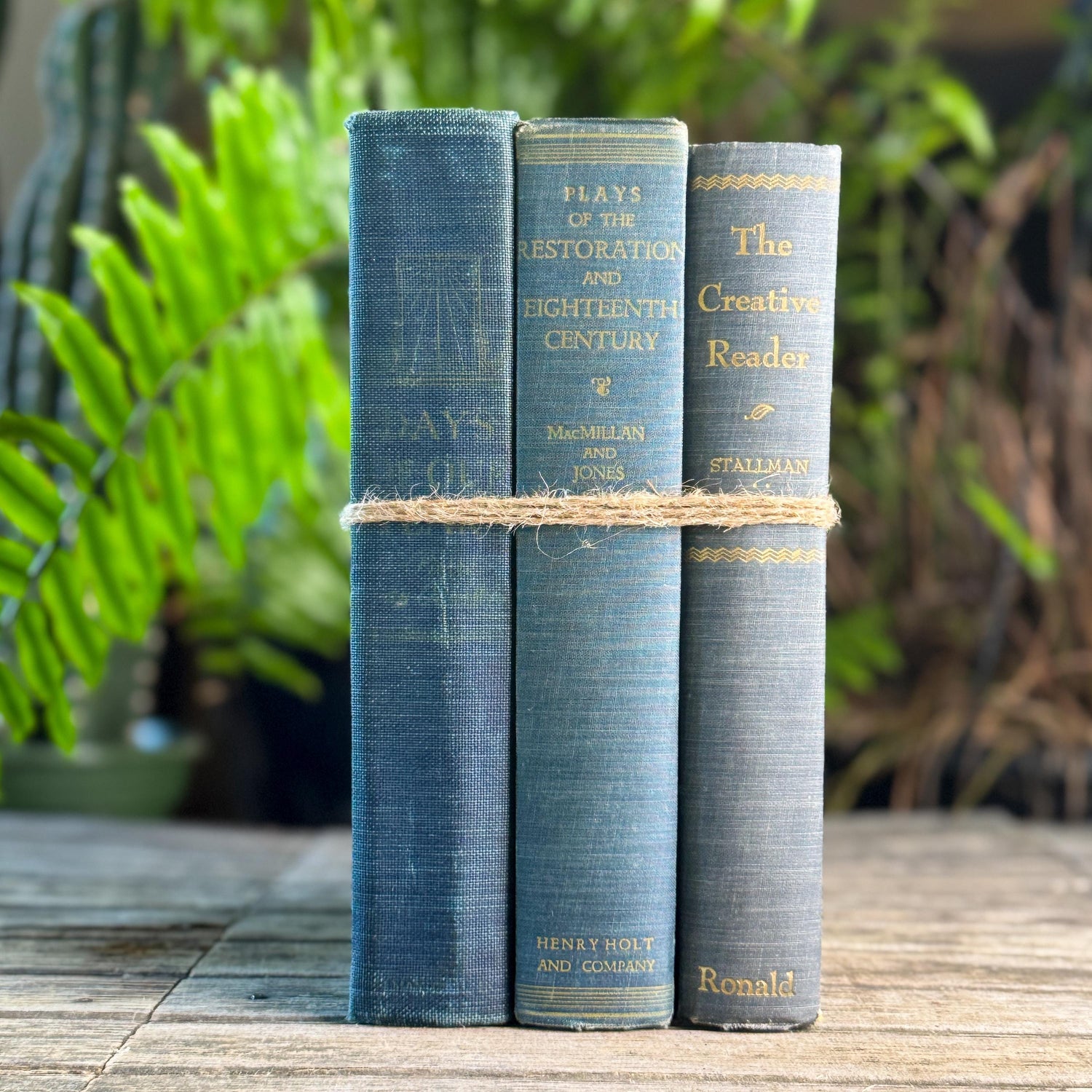 Blue Denim Vintage Oversized Reference Book Set