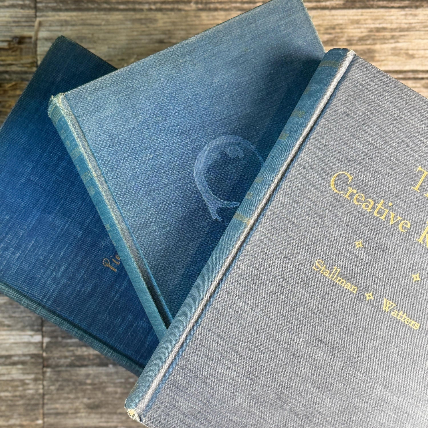 Blue Denim Vintage Oversized Reference Book Set