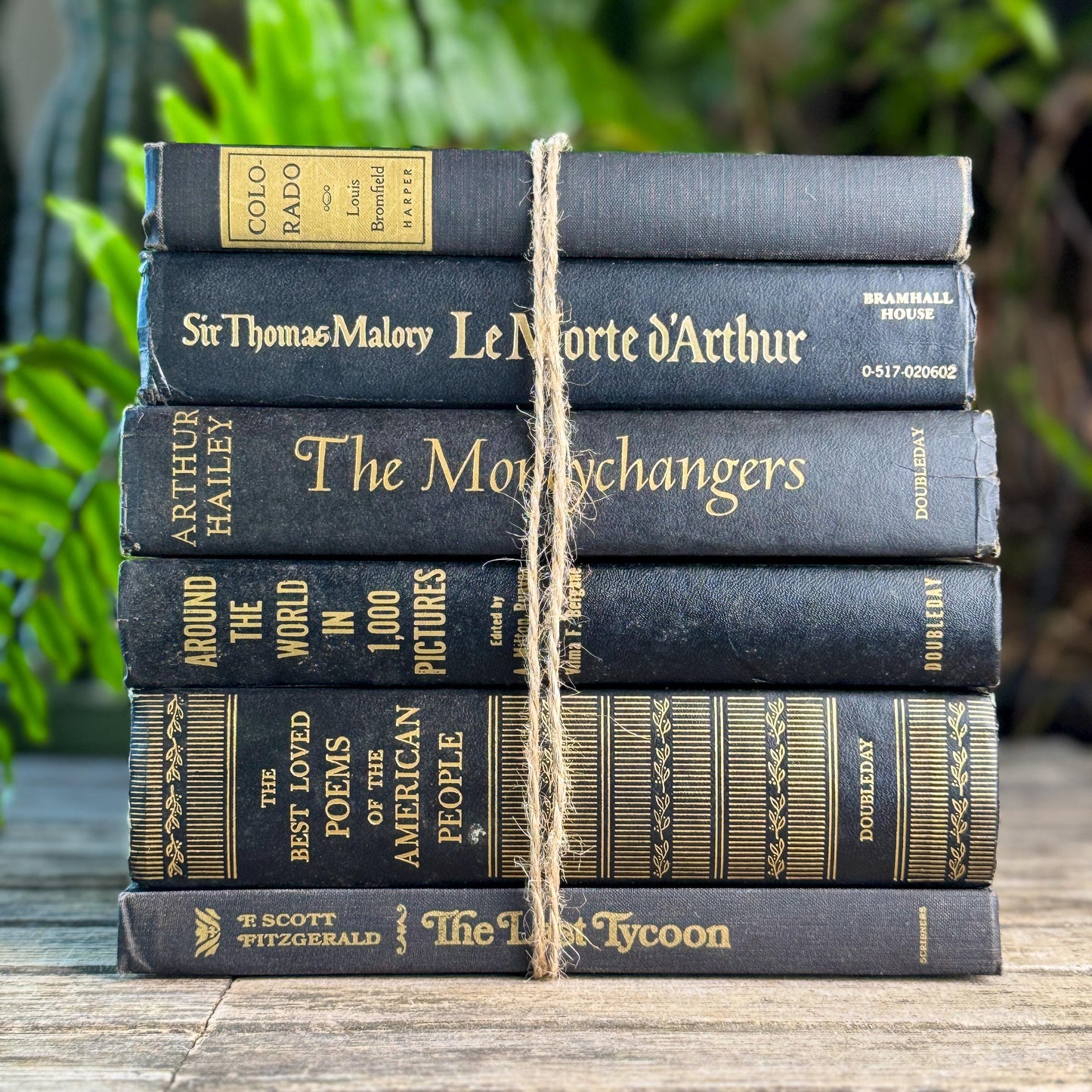 Black and Gold Bold Book Set For Moody Styling