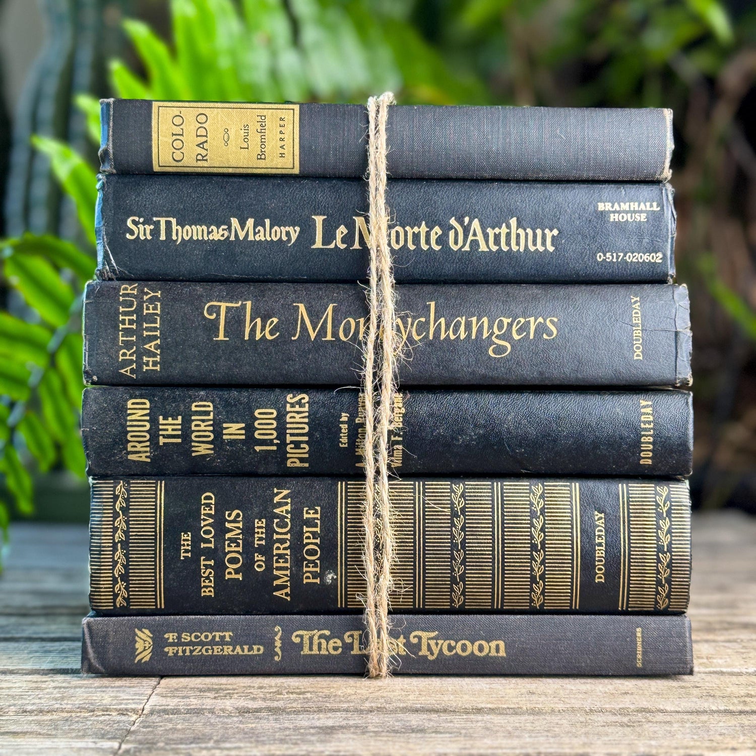 Black and Gold Bold Book Set For Moody Styling