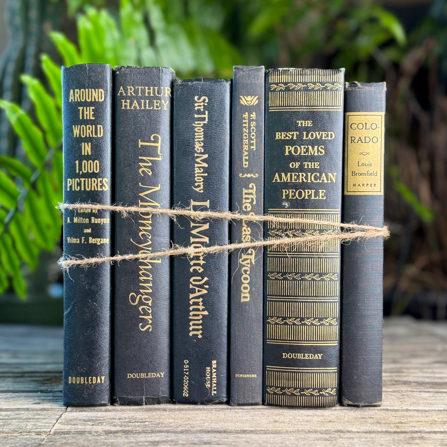 Black and Gold Bold Book Set For Moody Styling
