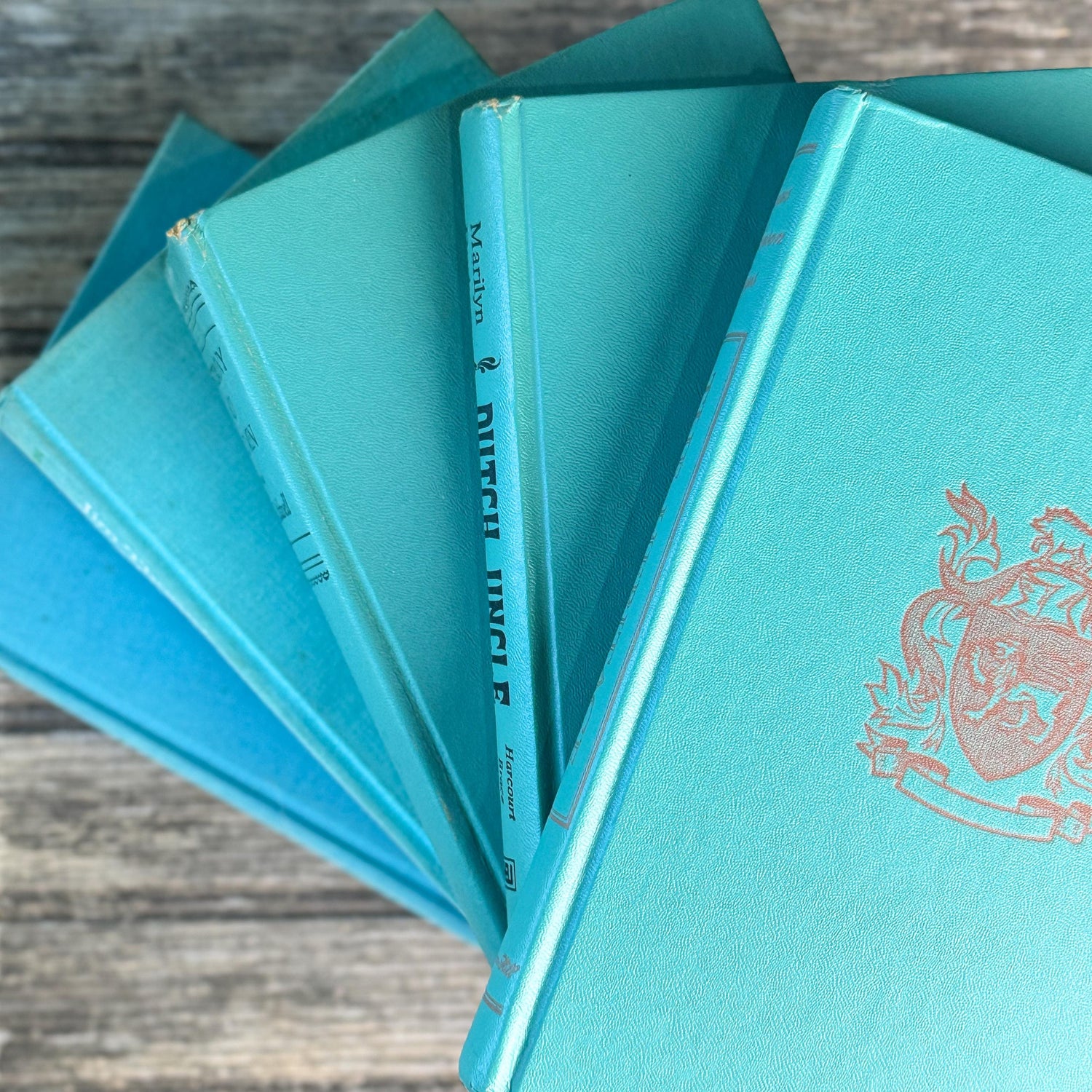 Mint and Teal Green Book Set for Bookshelf Decor