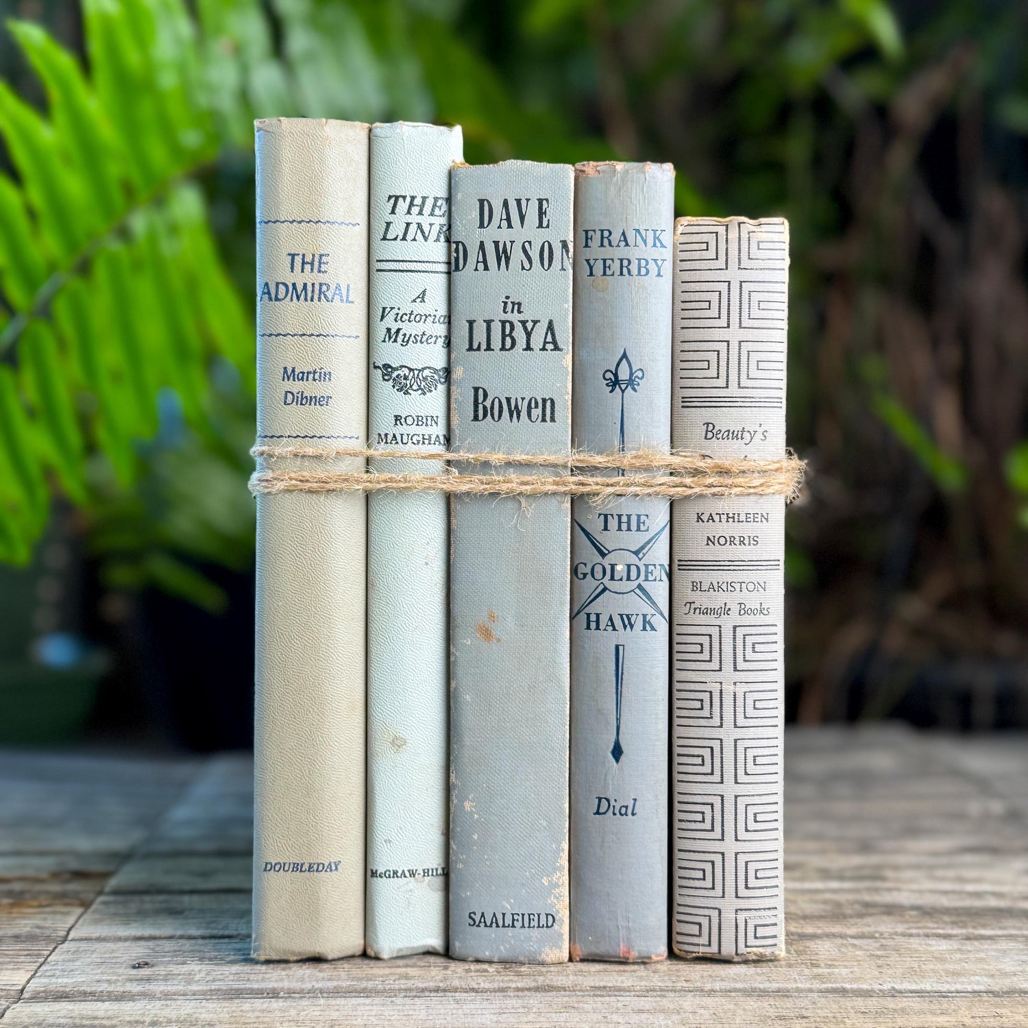 Shabby Neutral Gray Books for Shelf Styling