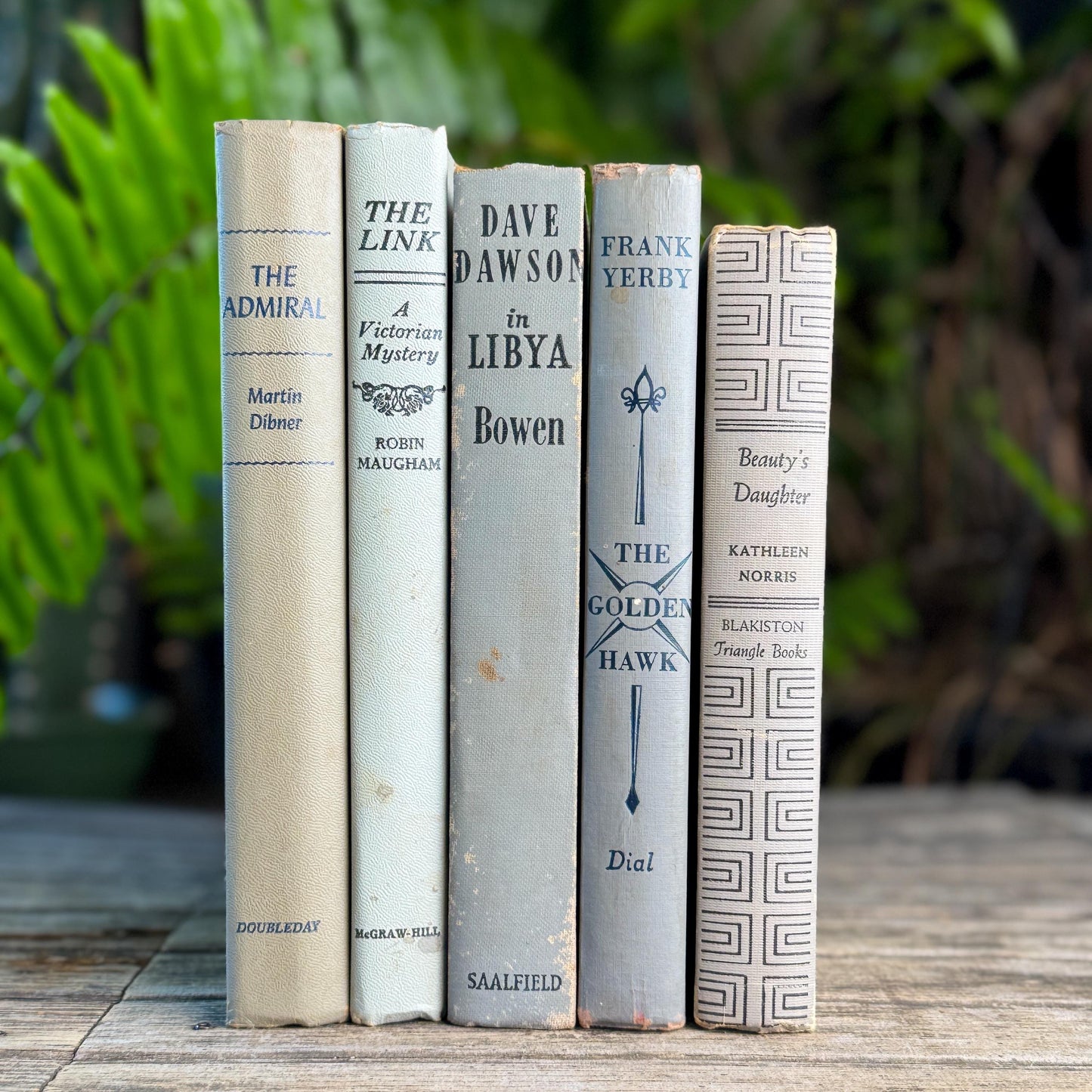 Shabby Neutral Gray Books for Shelf Styling