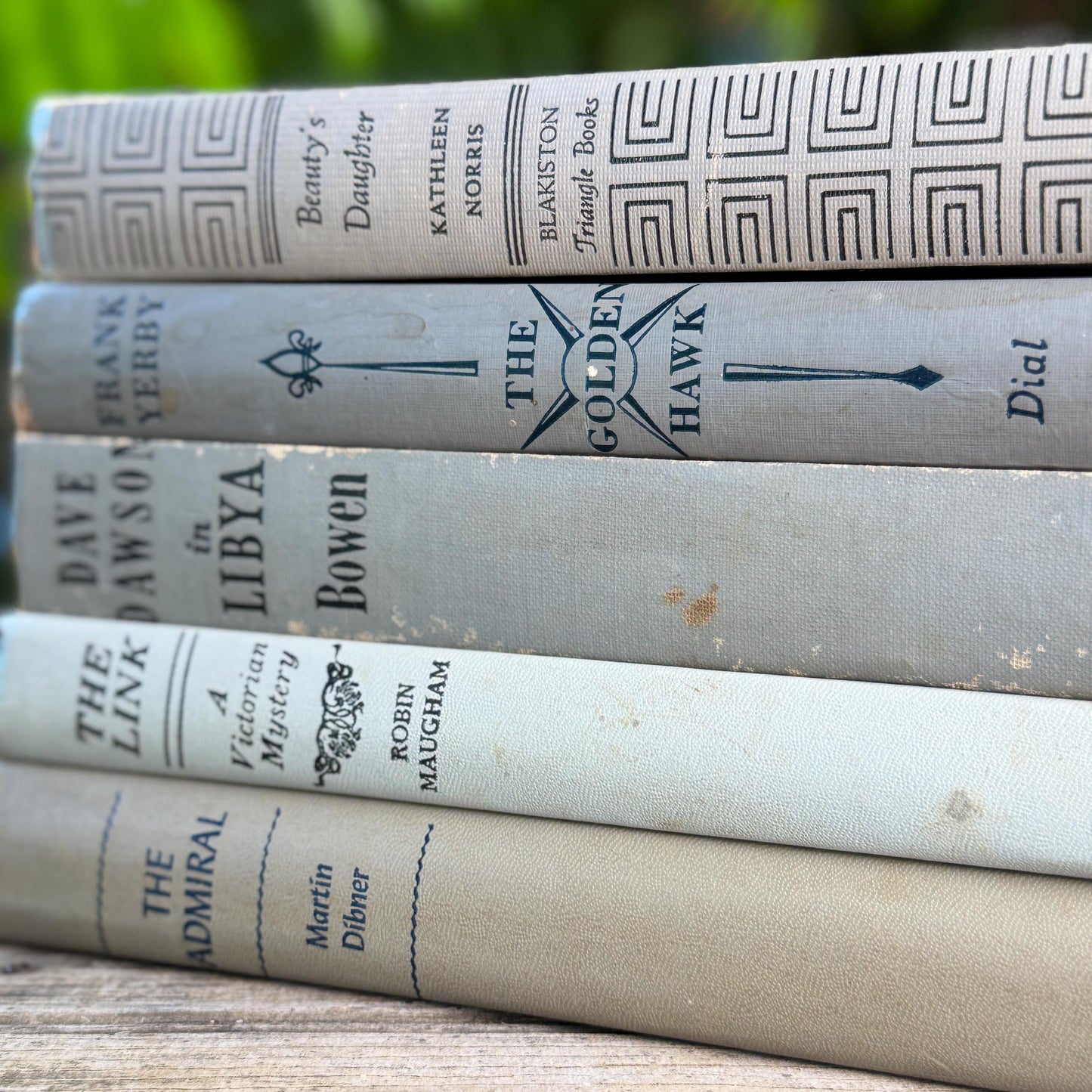 Shabby Neutral Gray Books for Shelf Styling