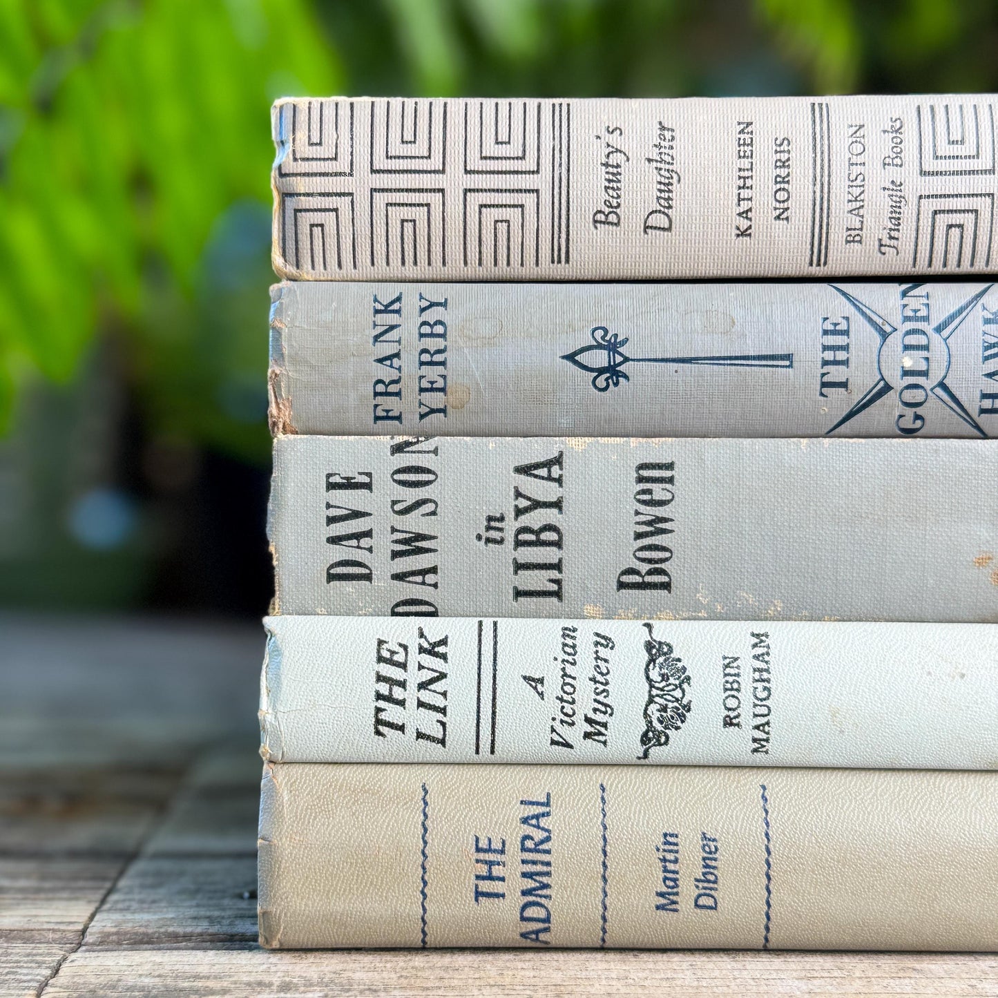 Shabby Neutral Gray Books for Shelf Styling