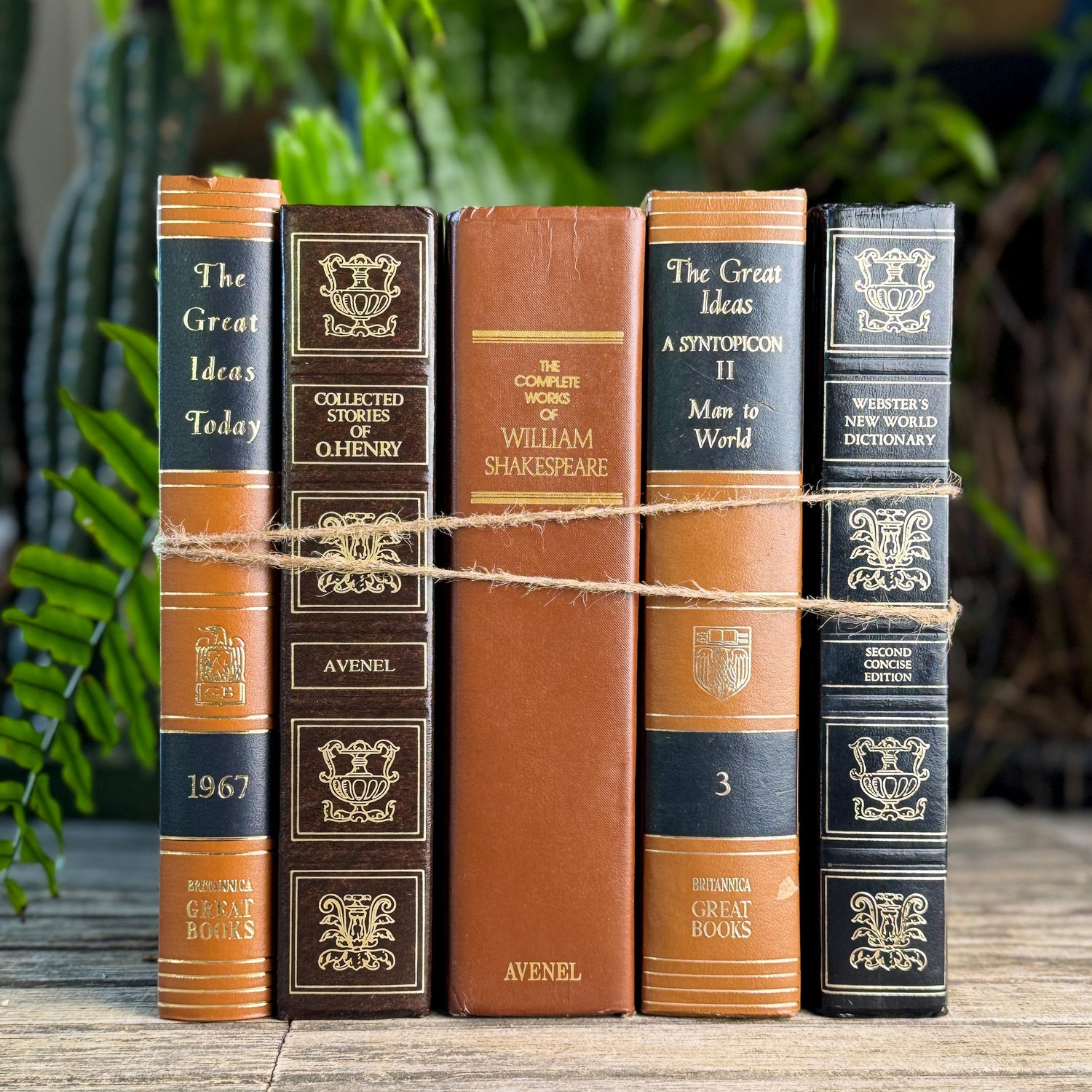 Retro Oversized Brown, Black, and Gold Book Bundle for 60s Styling