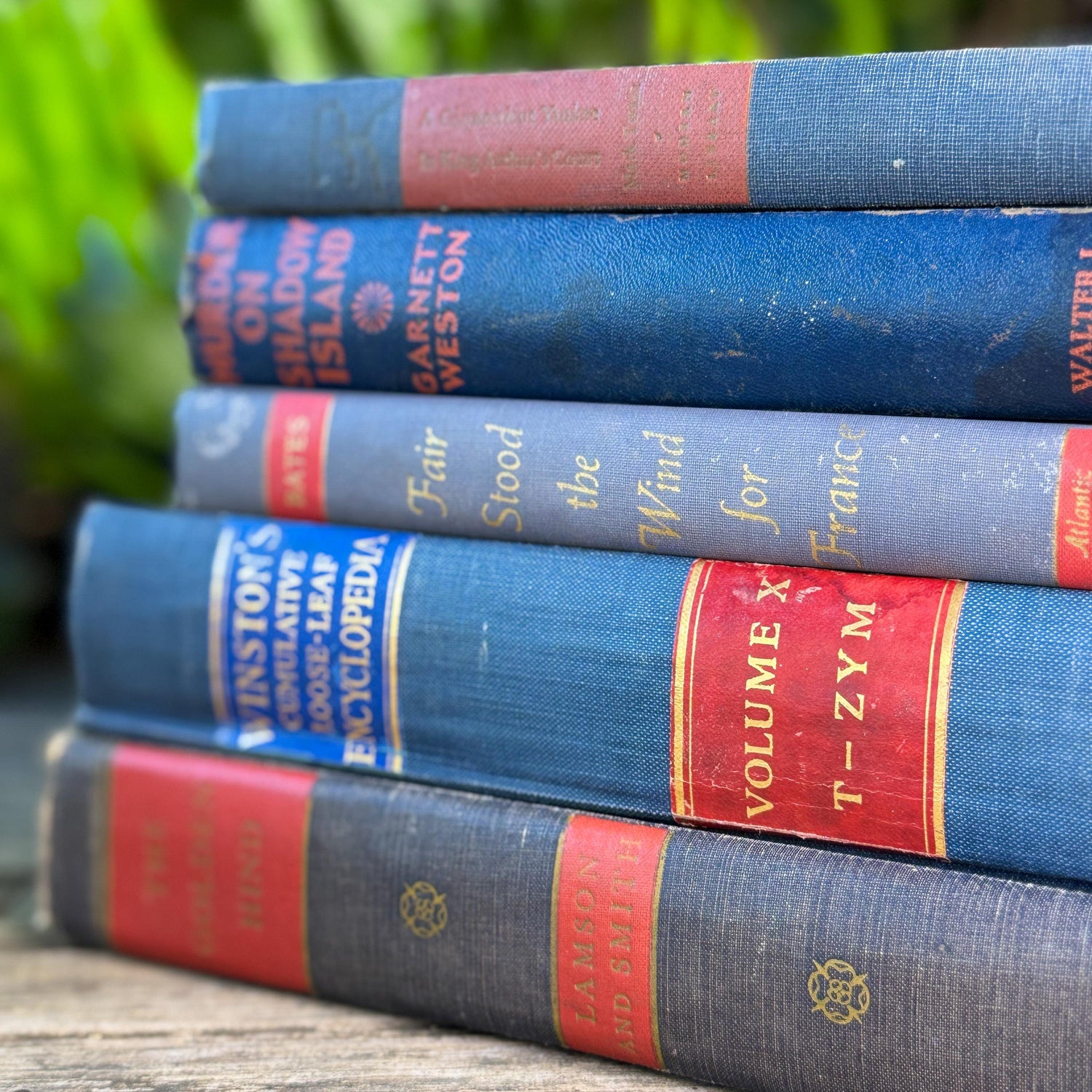 Vintage Blue and Red Book Bundle for Masculine Shabby Decor