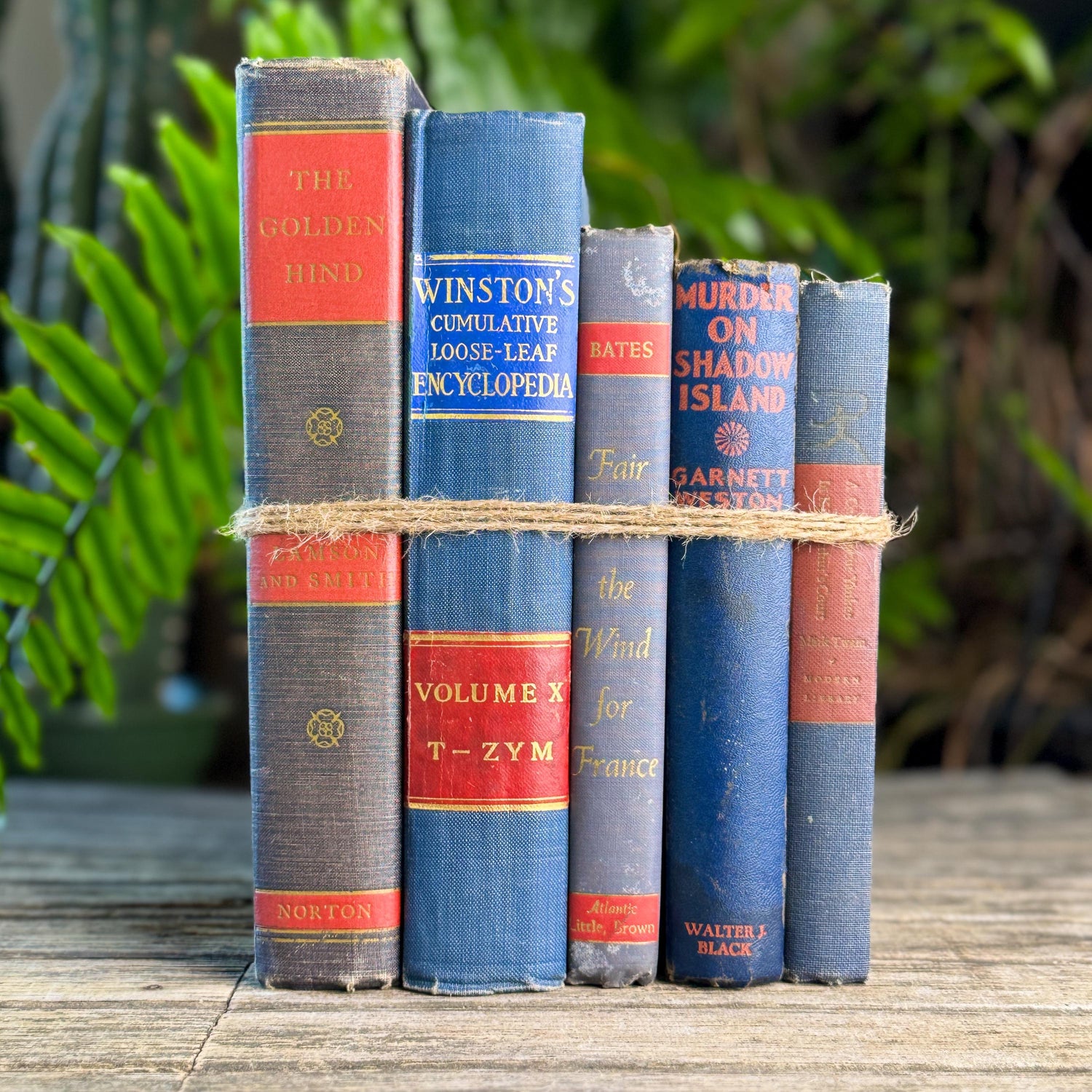 Vintage Blue and Red Book Bundle for Masculine Shabby Decor