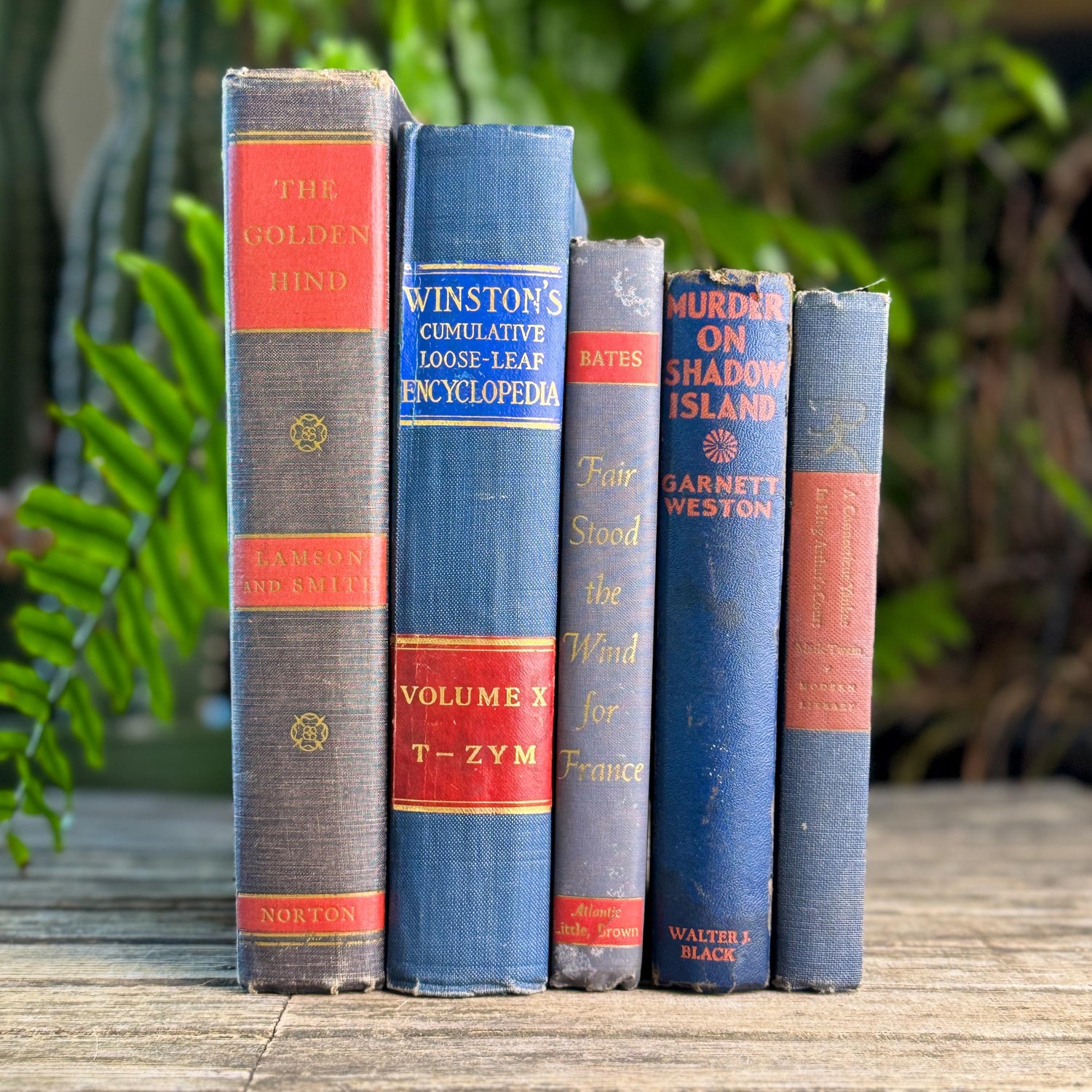 Vintage Blue and Red Book Bundle for Masculine Shabby Decor
