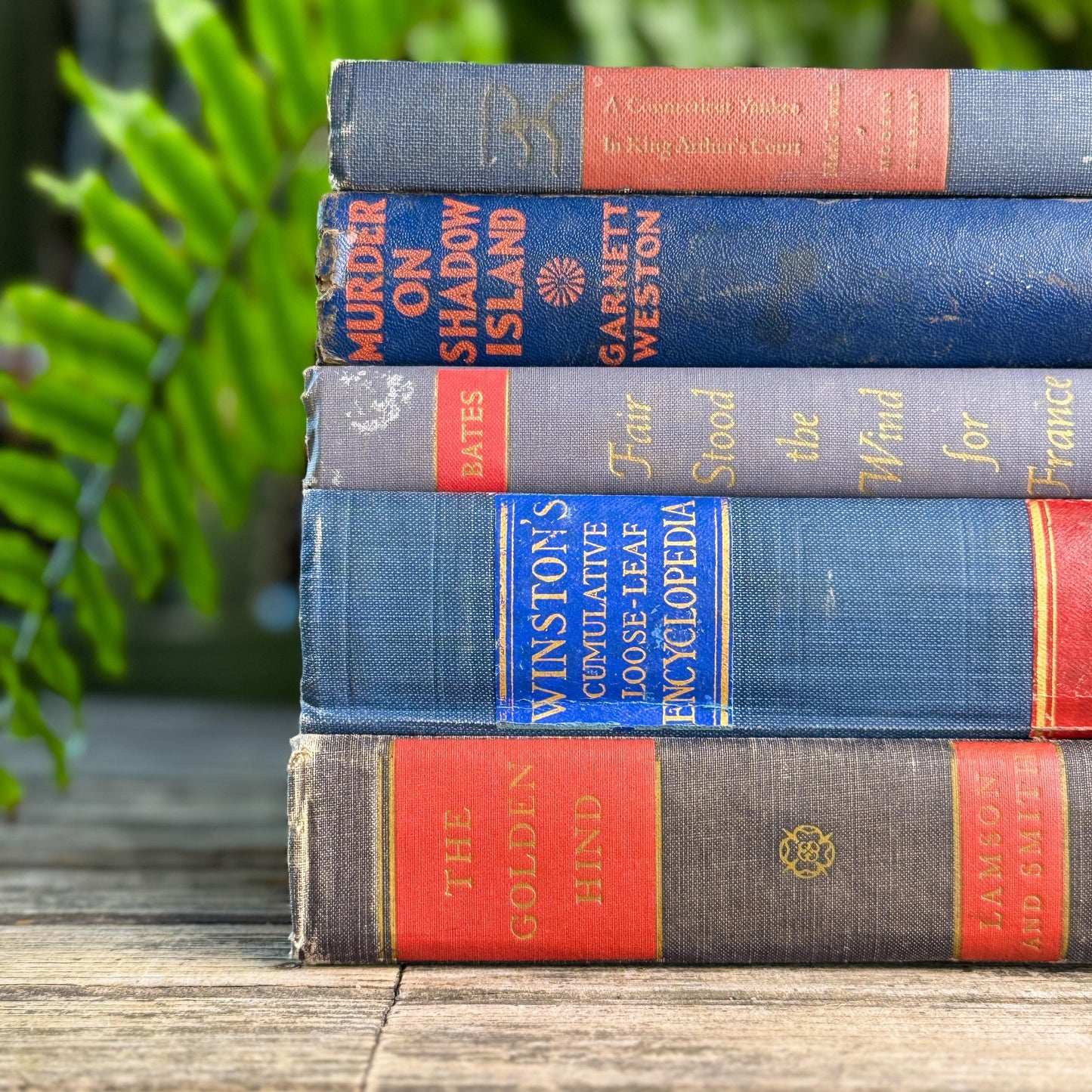 Vintage Blue and Red Book Bundle for Masculine Shabby Decor