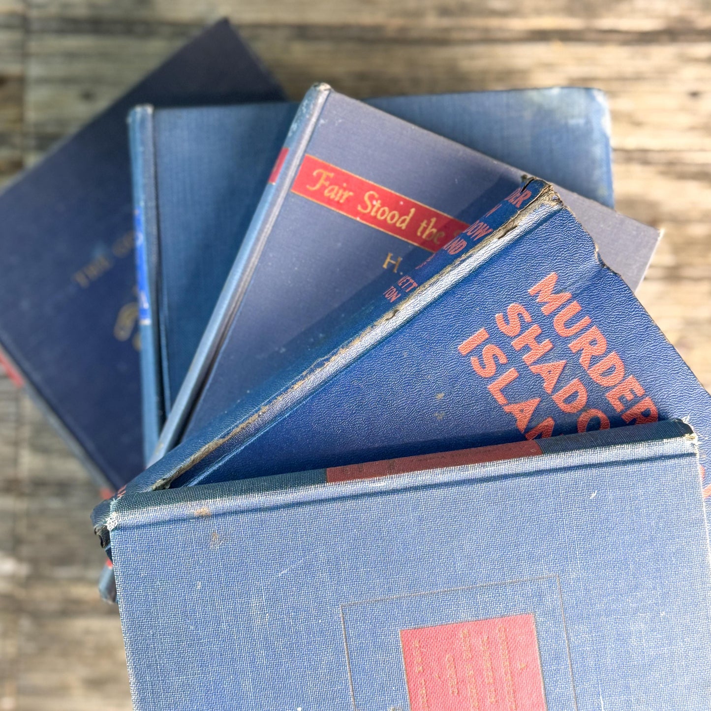Vintage Blue and Red Book Bundle for Masculine Shabby Decor