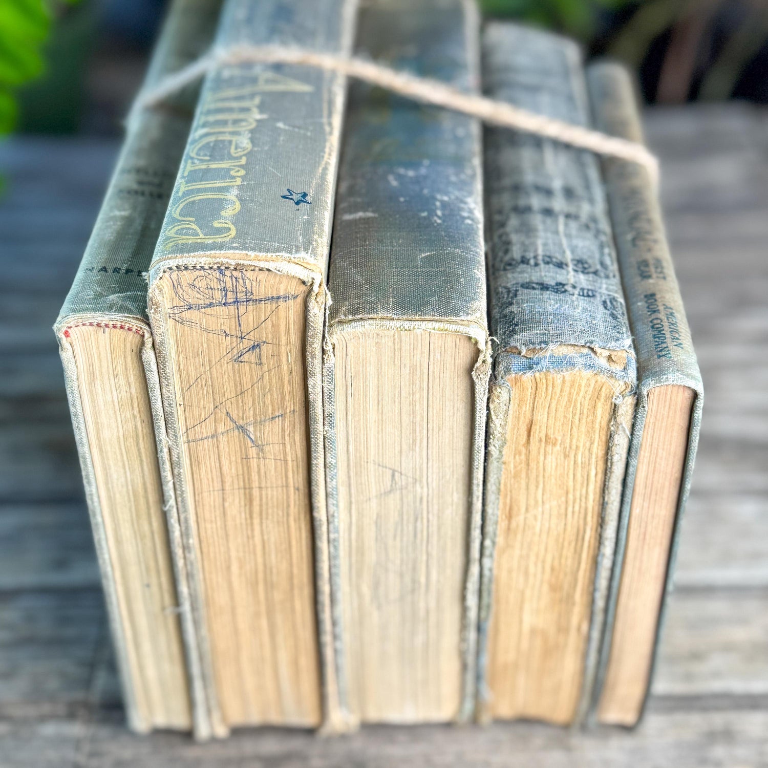 Vintage Schoolbook Bundle in Oversized Faded Gray, Blue, and Sage