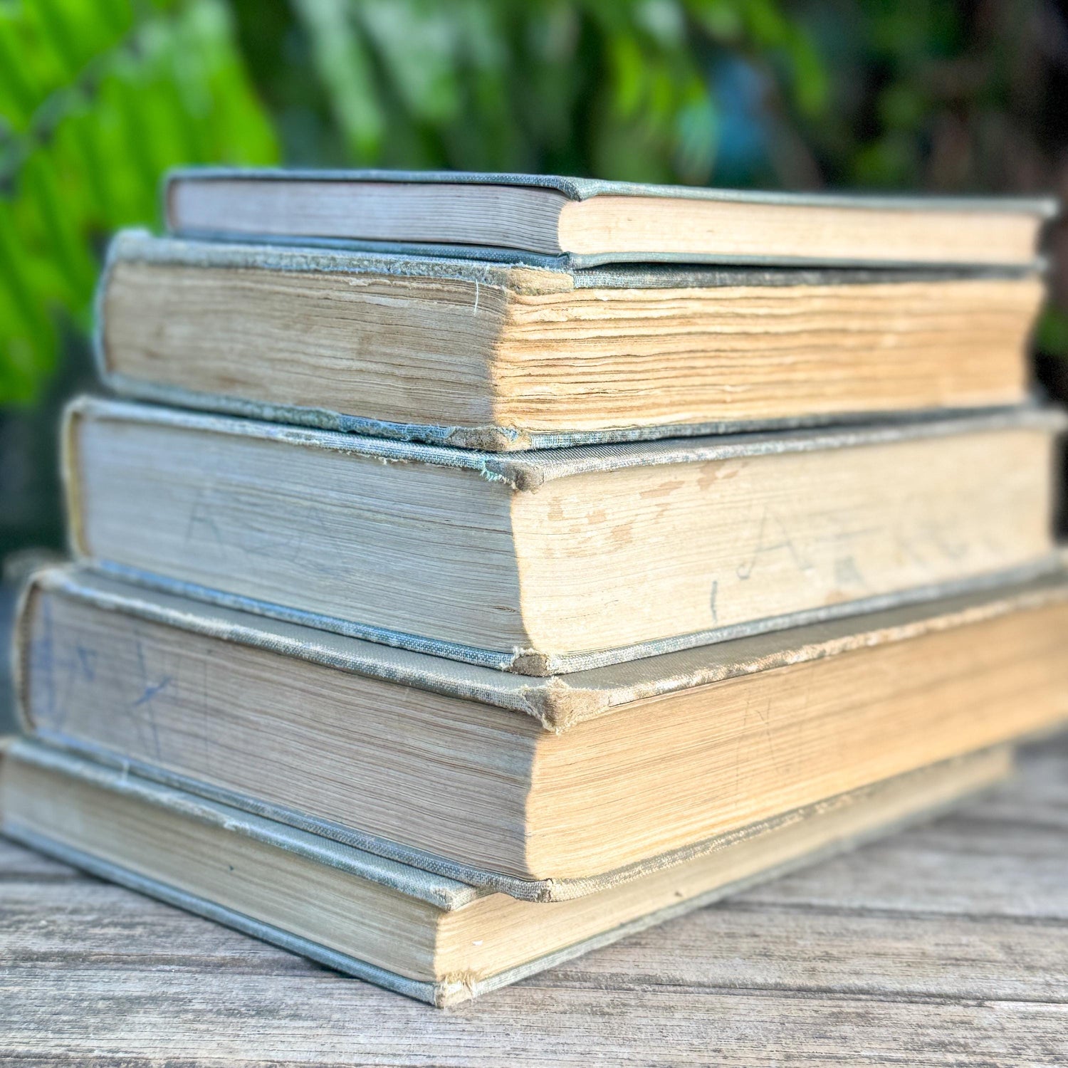 Vintage Schoolbook Bundle in Oversized Faded Gray, Blue, and Sage