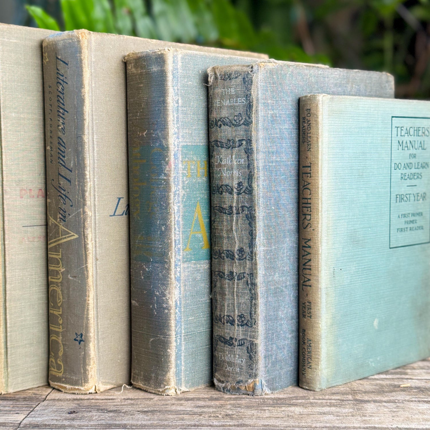 Vintage Schoolbook Bundle in Oversized Faded Gray, Blue, and Sage