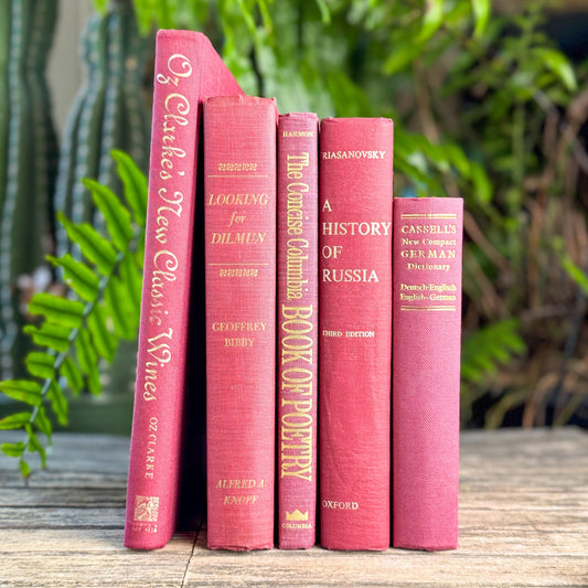 Vintage Purple and Wine Red Decorative Coffee Table Book Set