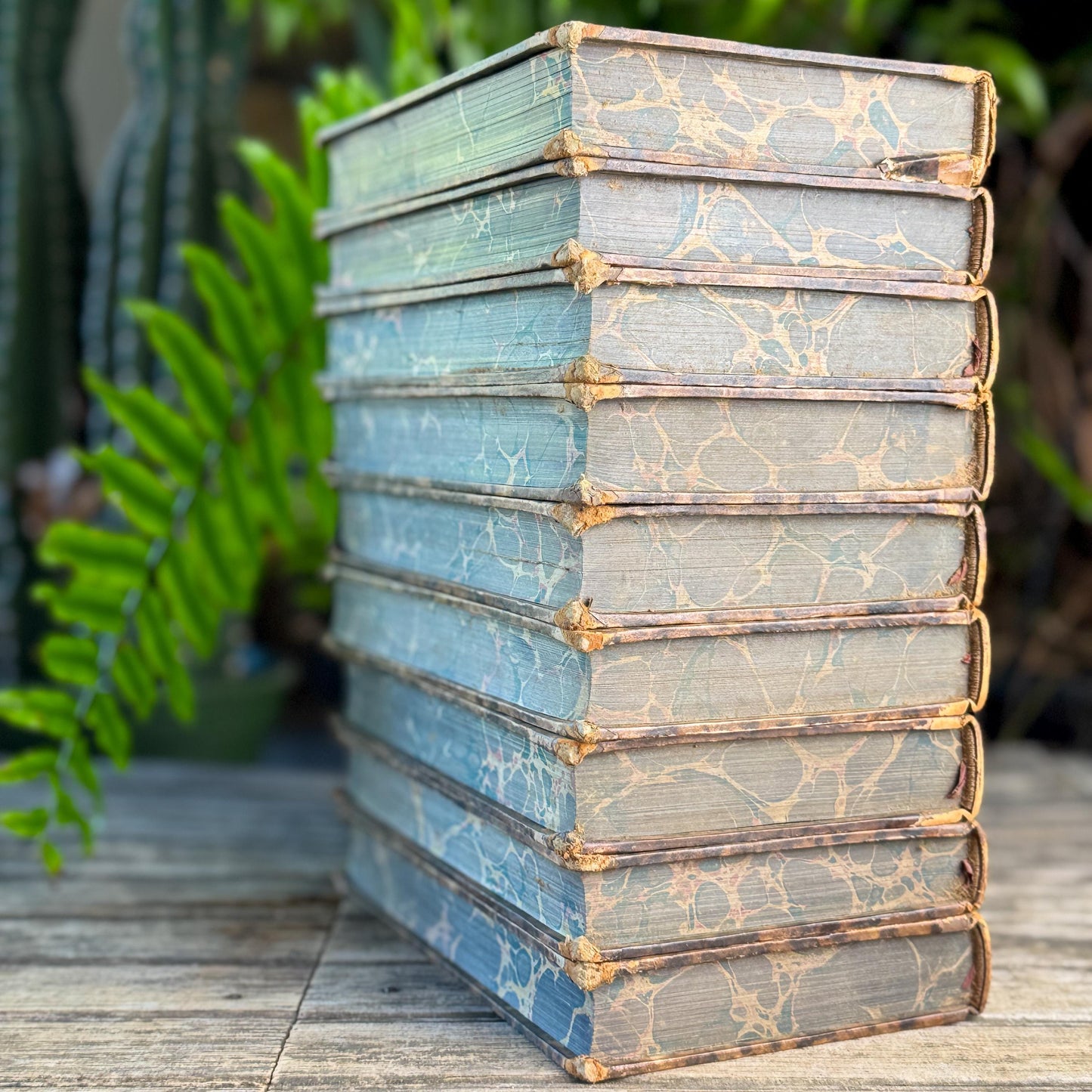 Antique Leather-Bound Voltaire Books in French, 1824, Gold Black and Brown