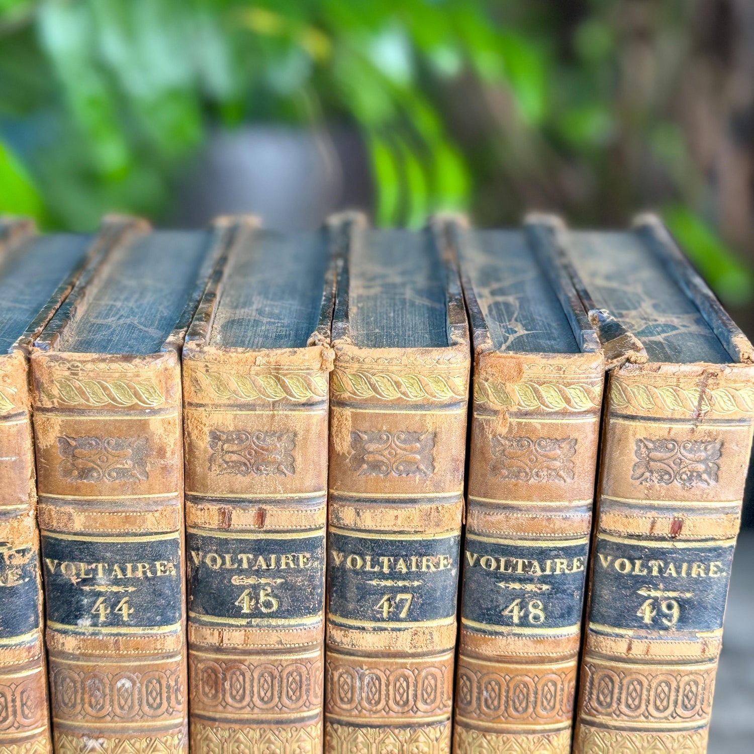 Antique Leather-Bound Voltaire Books in French, 1824, Gold Black and Brown