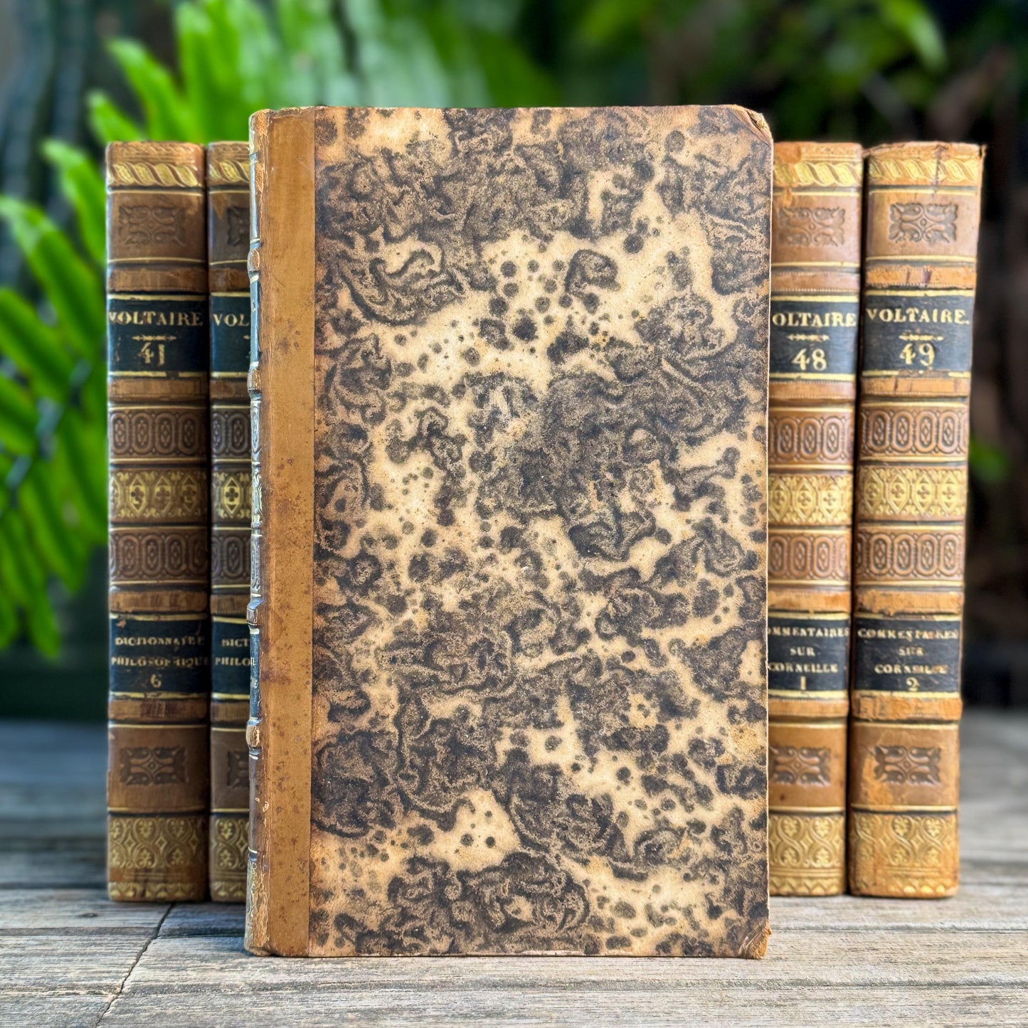 Antique Leather-Bound Voltaire Books in French, 1824, Gold Black and Brown